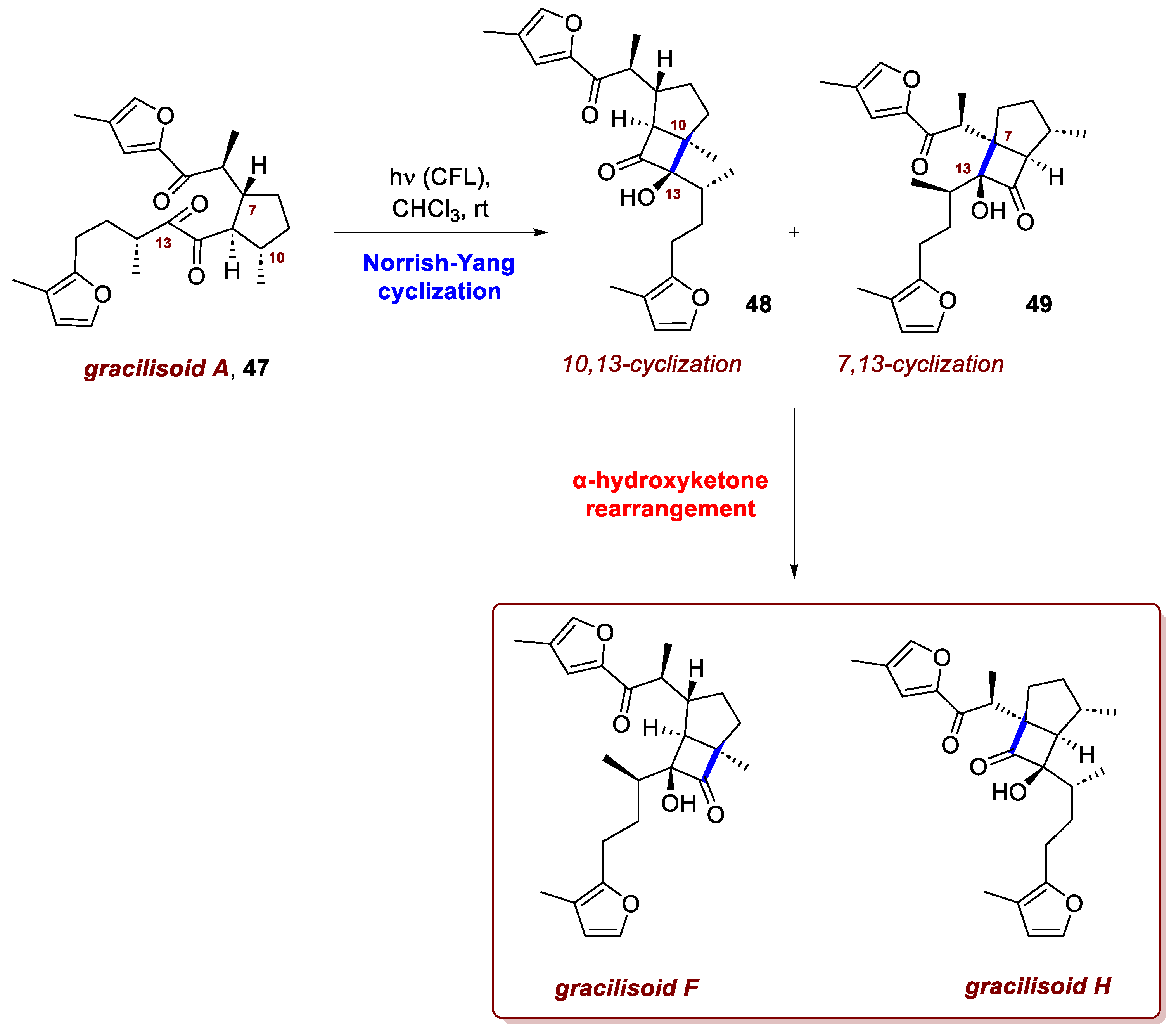 Preprints 186128 sch019