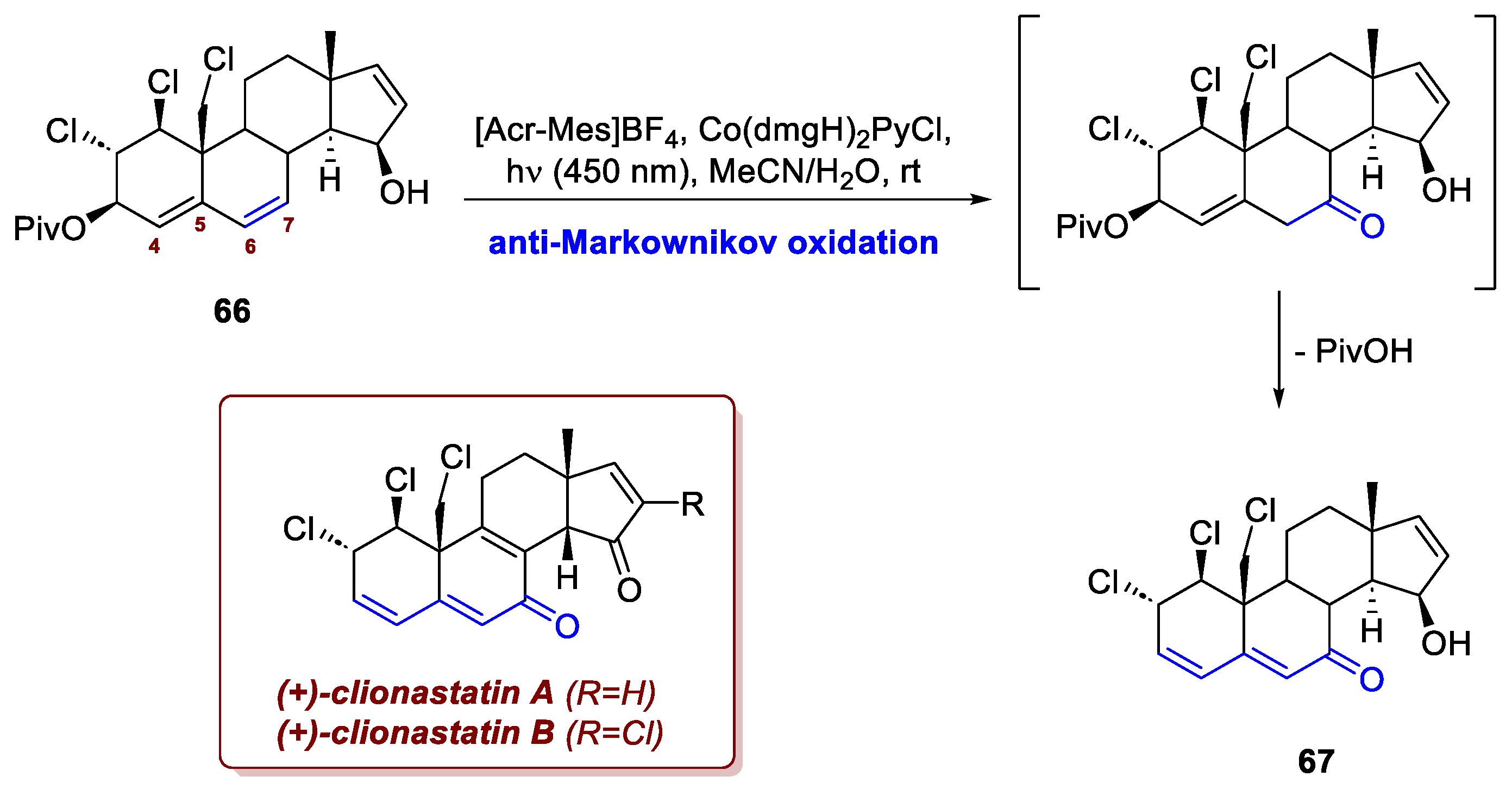 Preprints 186128 sch025