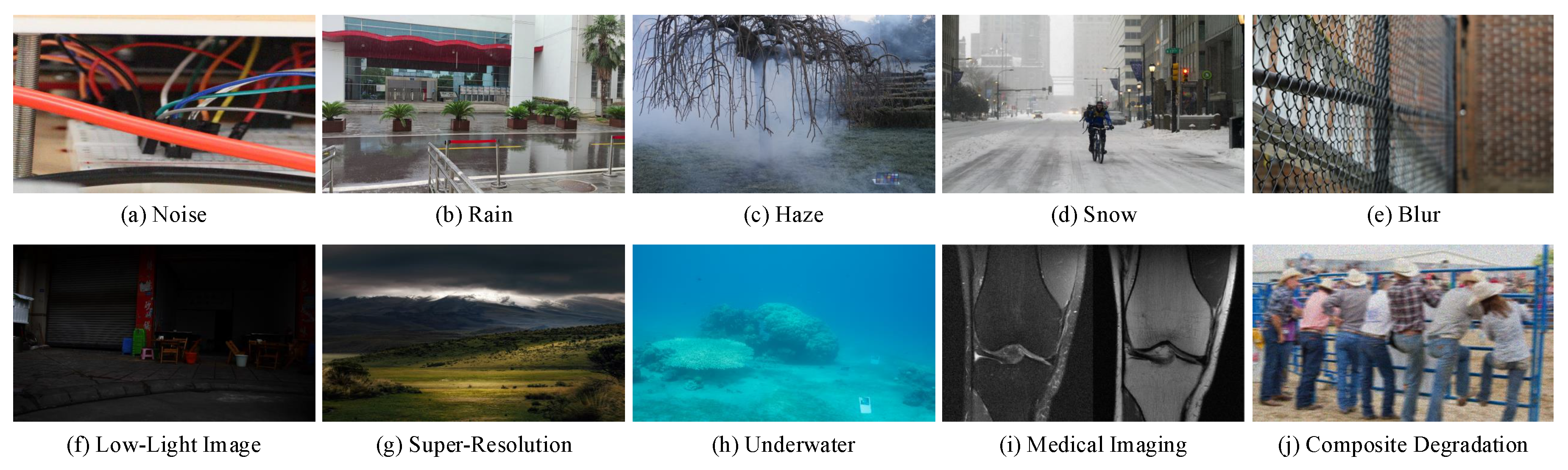 Preprints 206990 g002