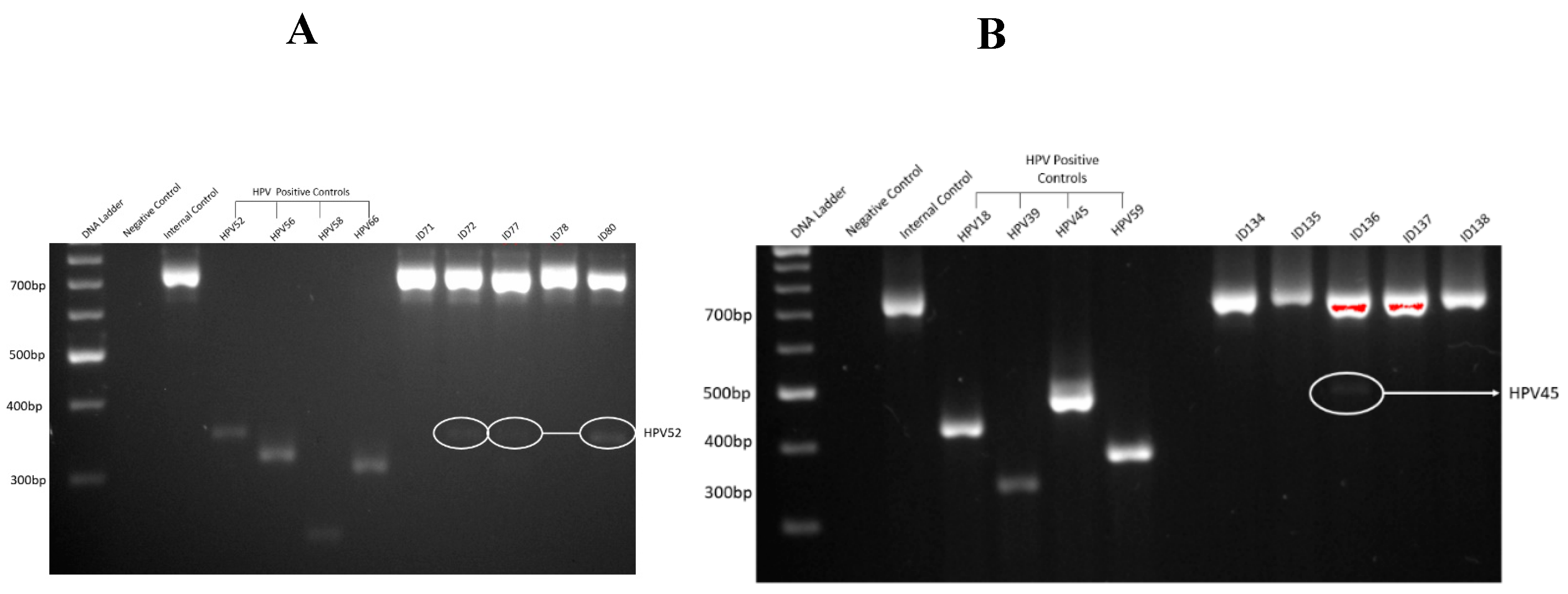 Preprints 155920 g001