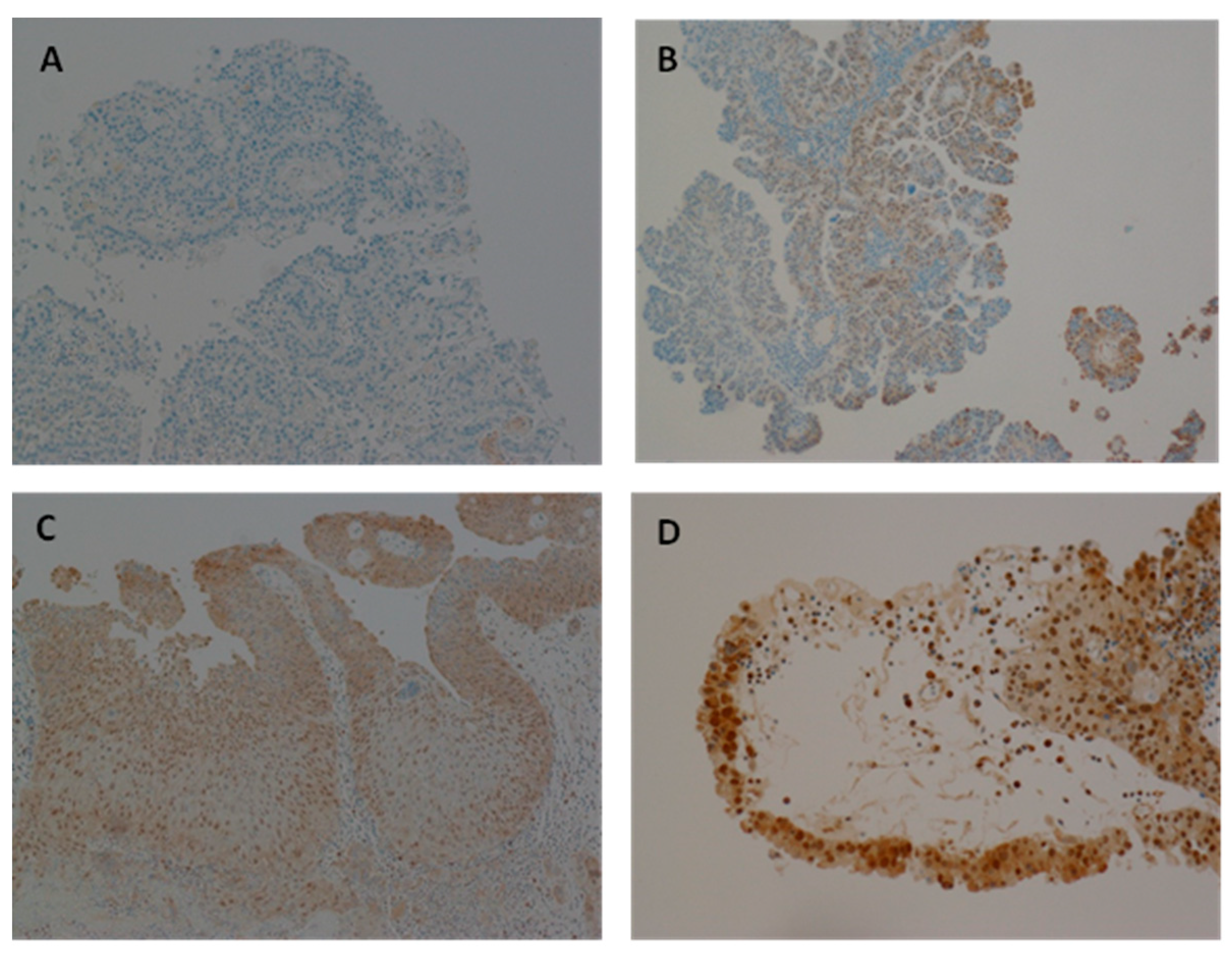 Preprints 155920 g003