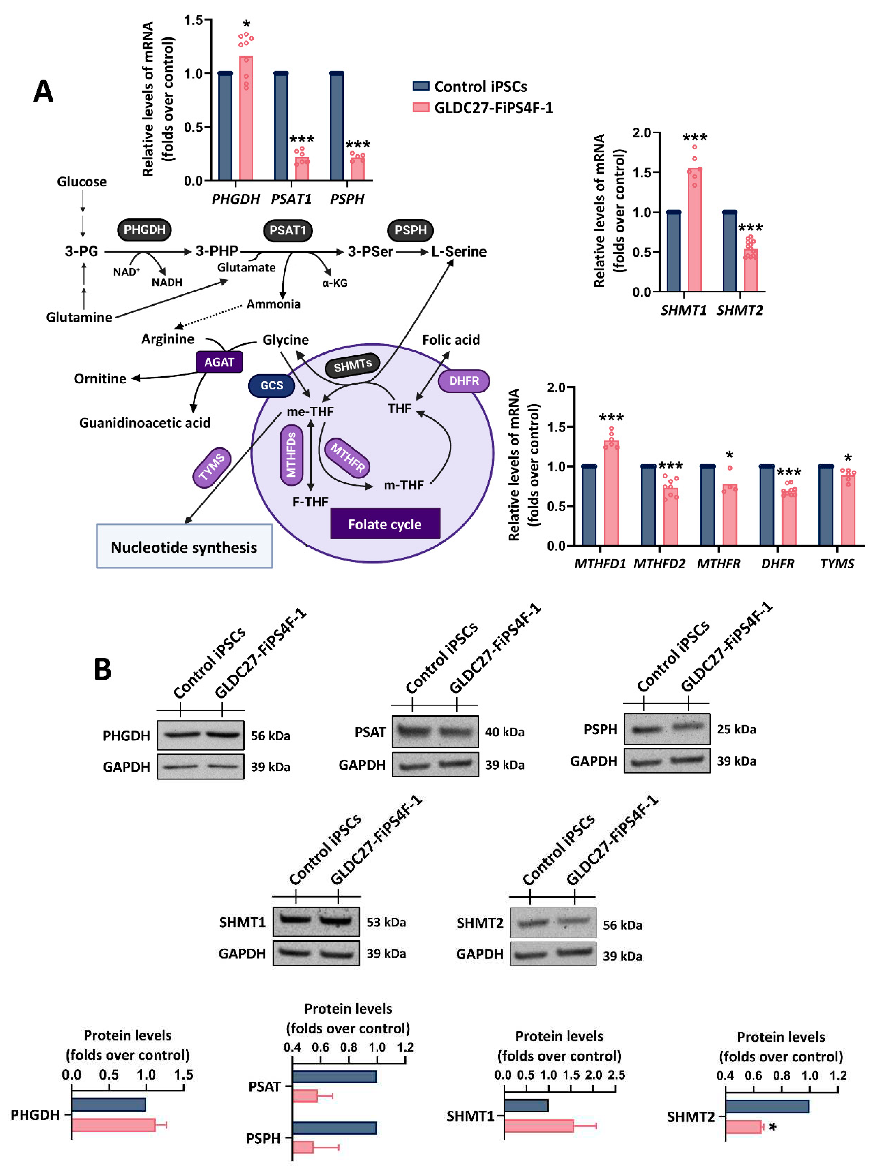 Preprints 97393 g003