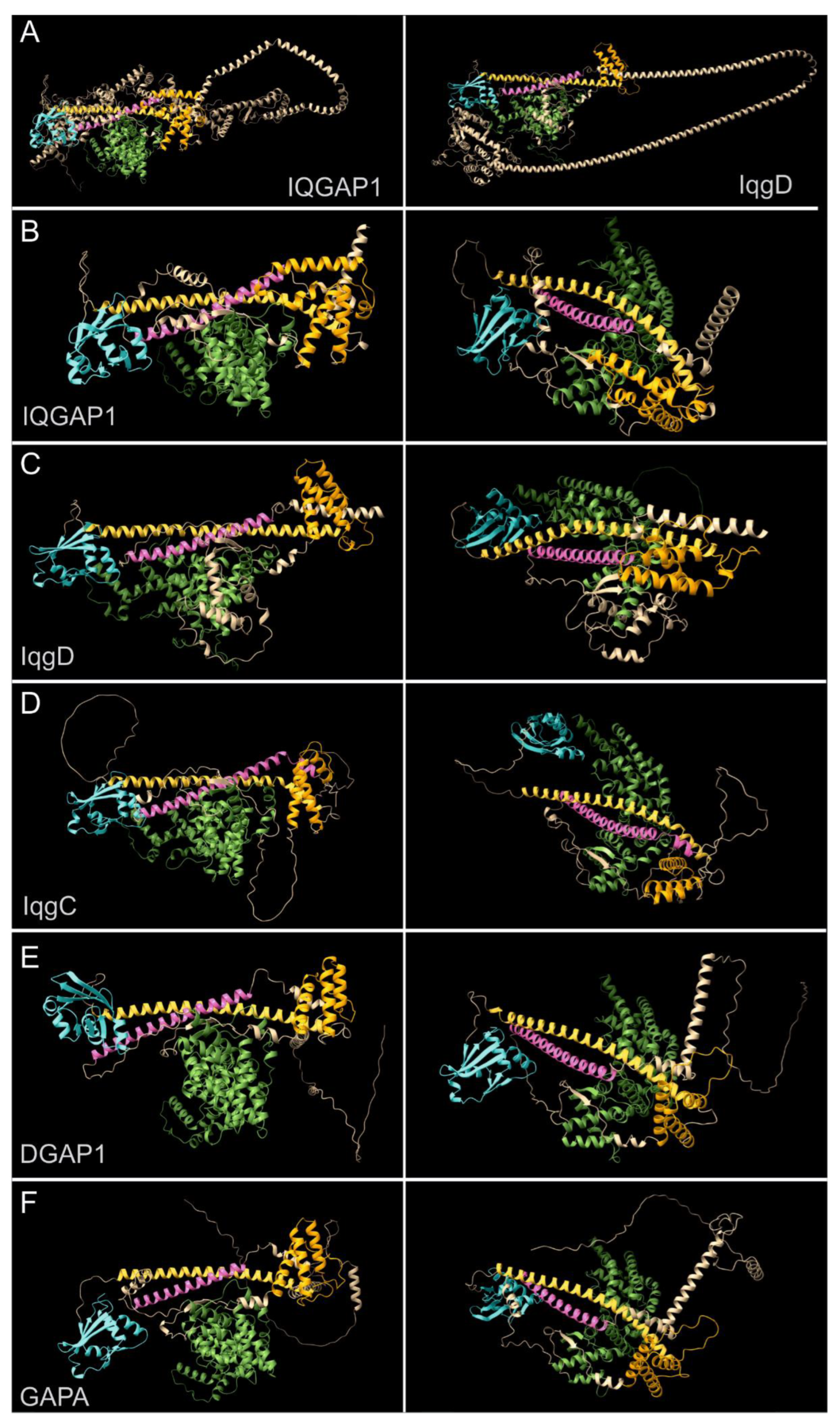 Preprints 208847 g001