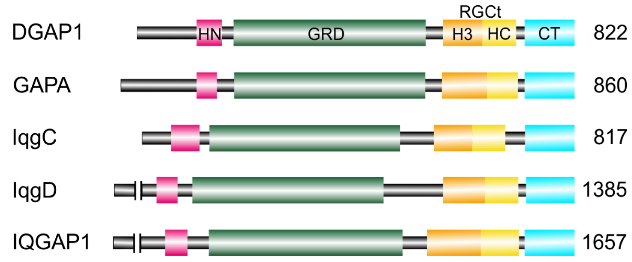 Preprints 208847 g002