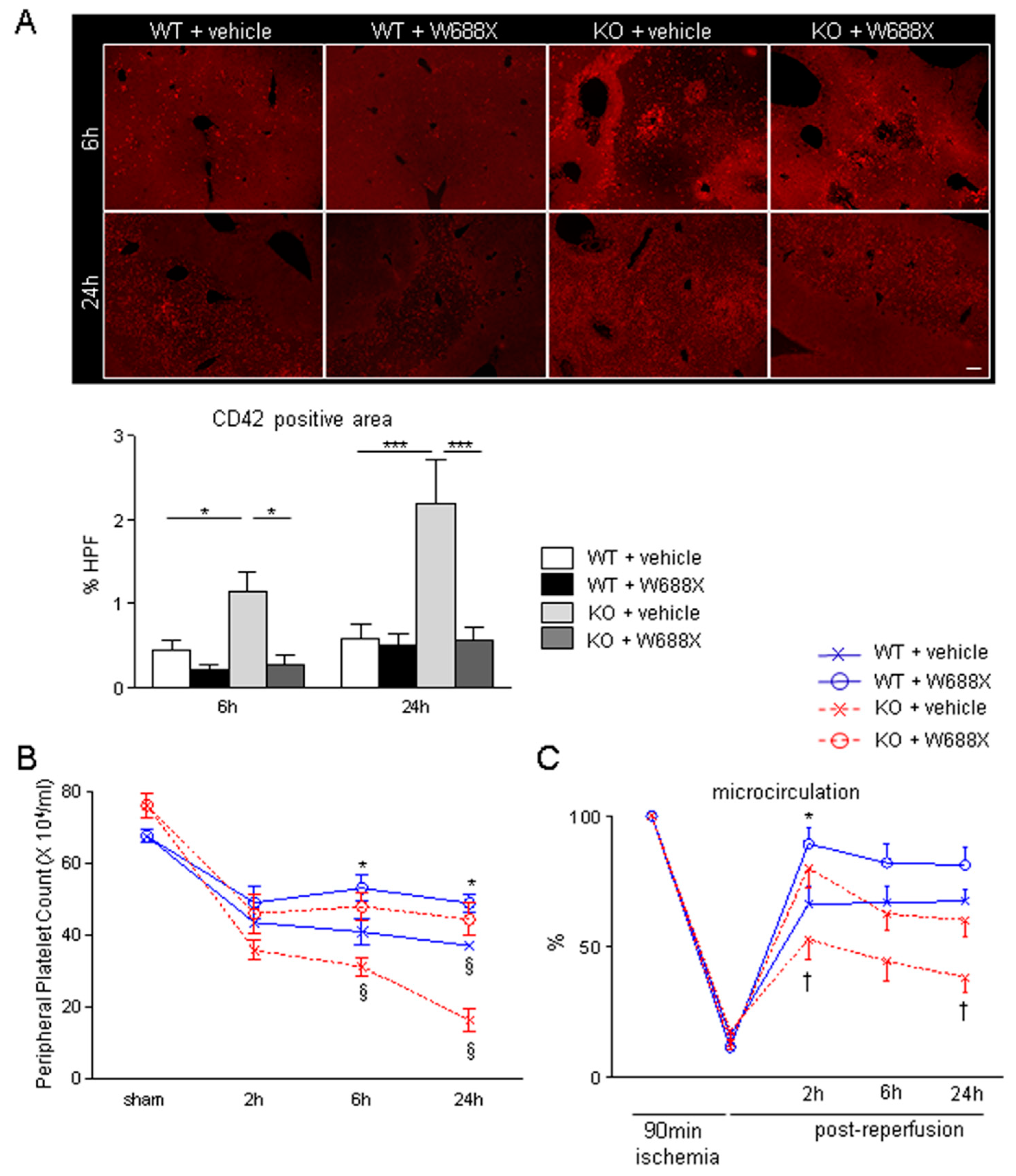 Preprints 97655 g002