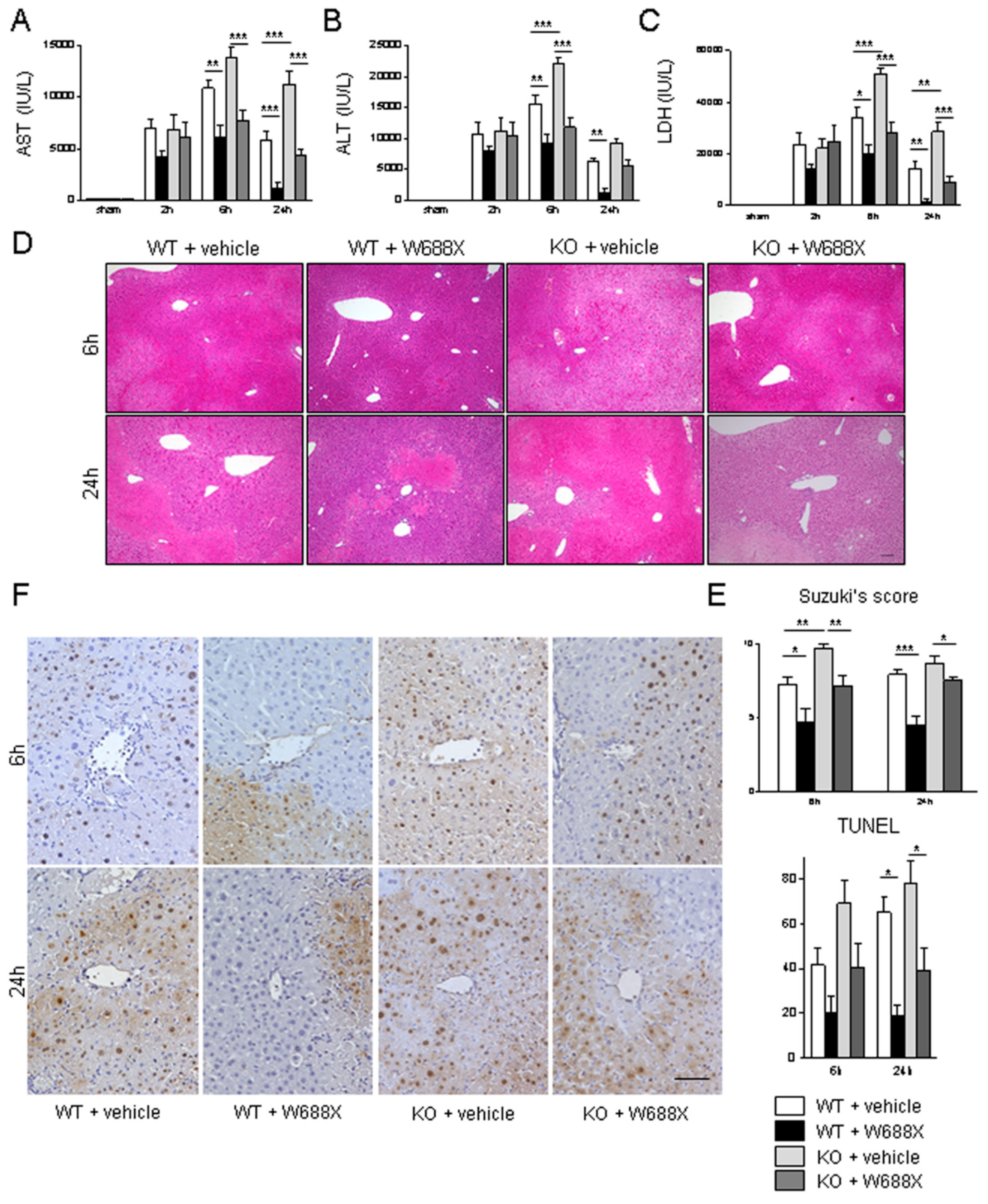 Preprints 97655 g003
