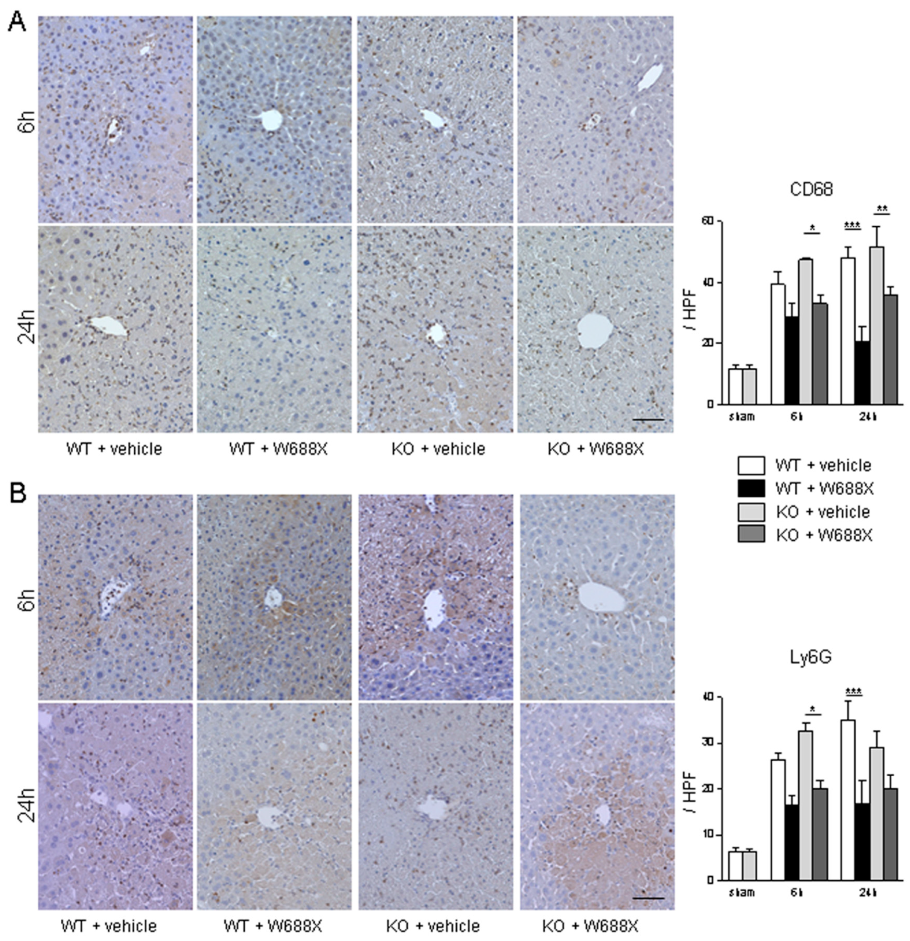 Preprints 97655 g004