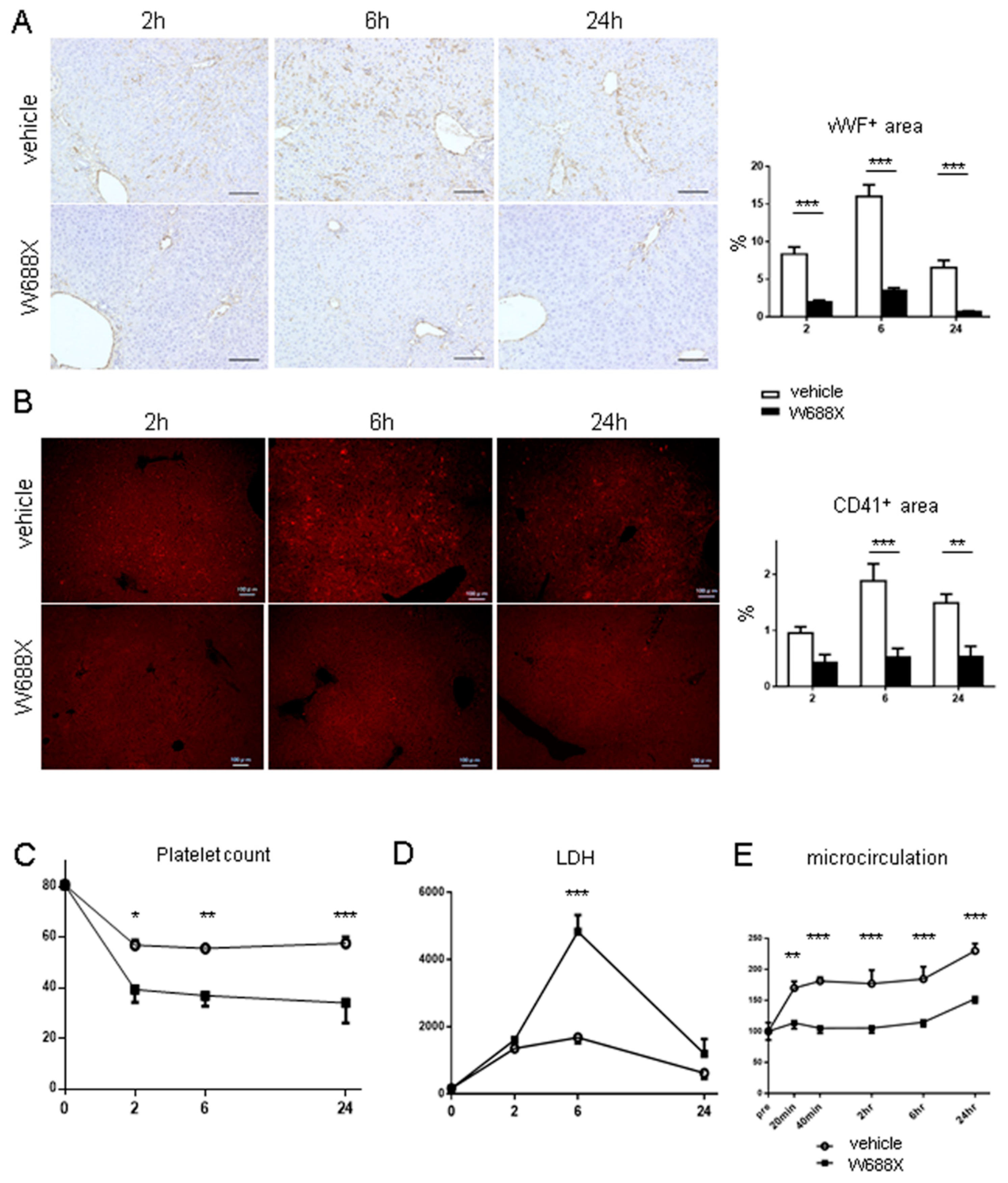 Preprints 97655 g006