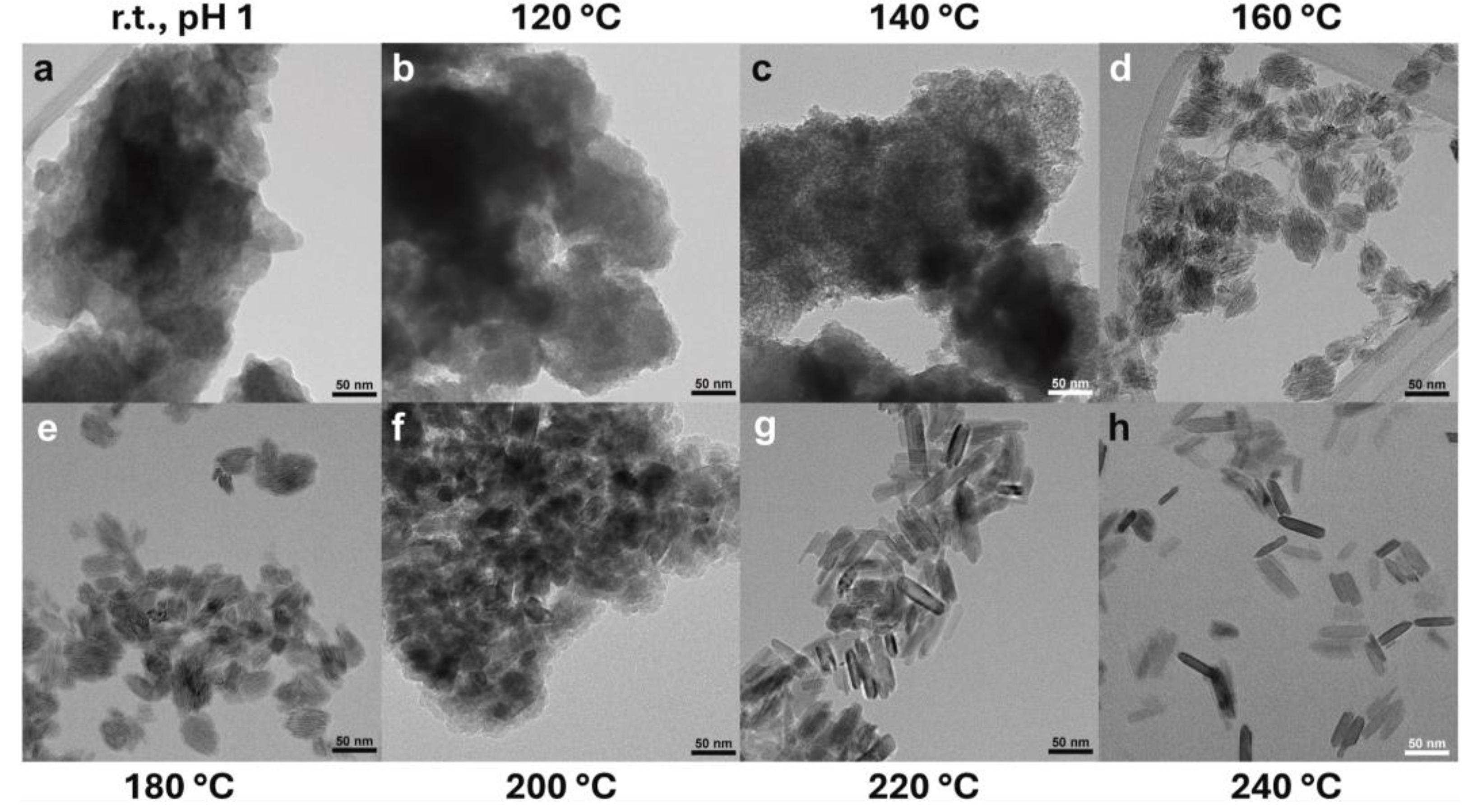 Preprints 185483 g007a