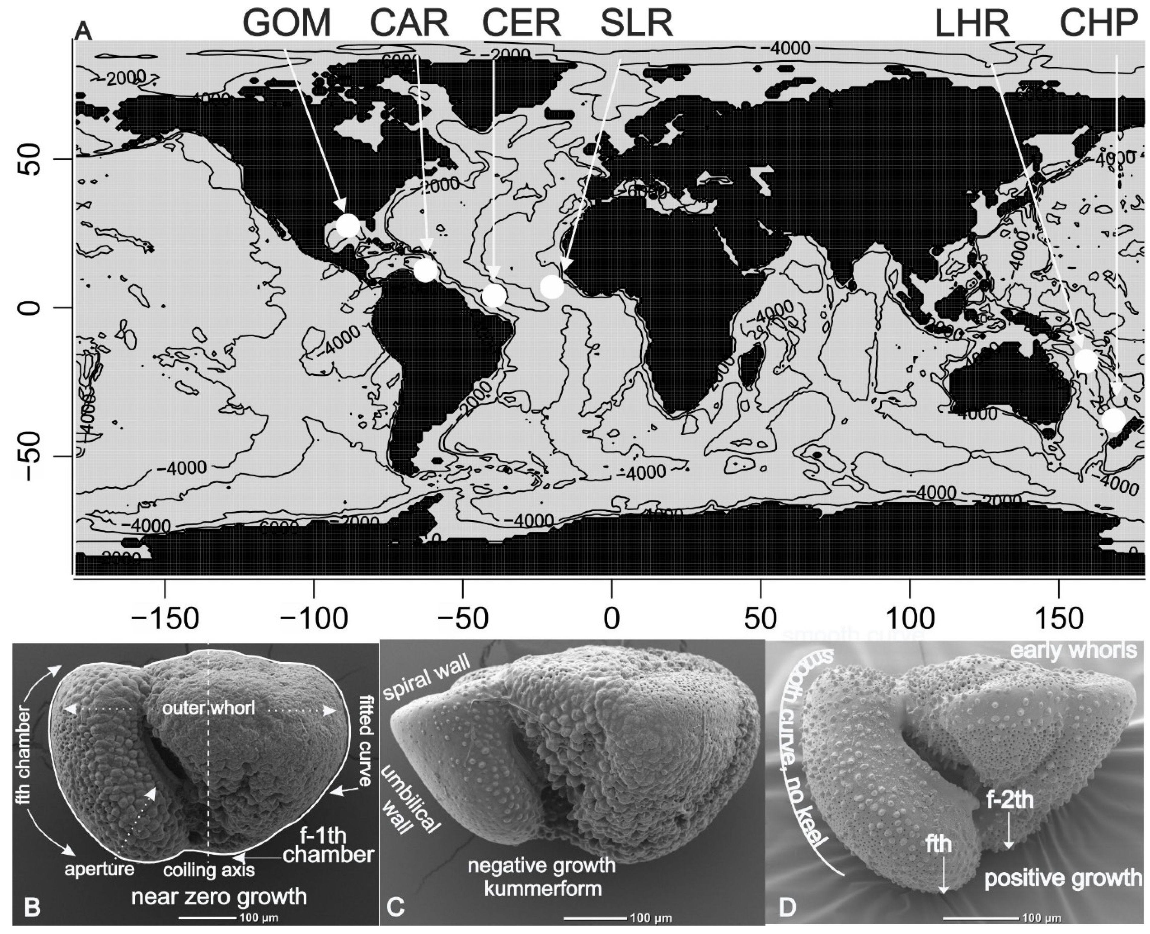 Preprints 149851 g001