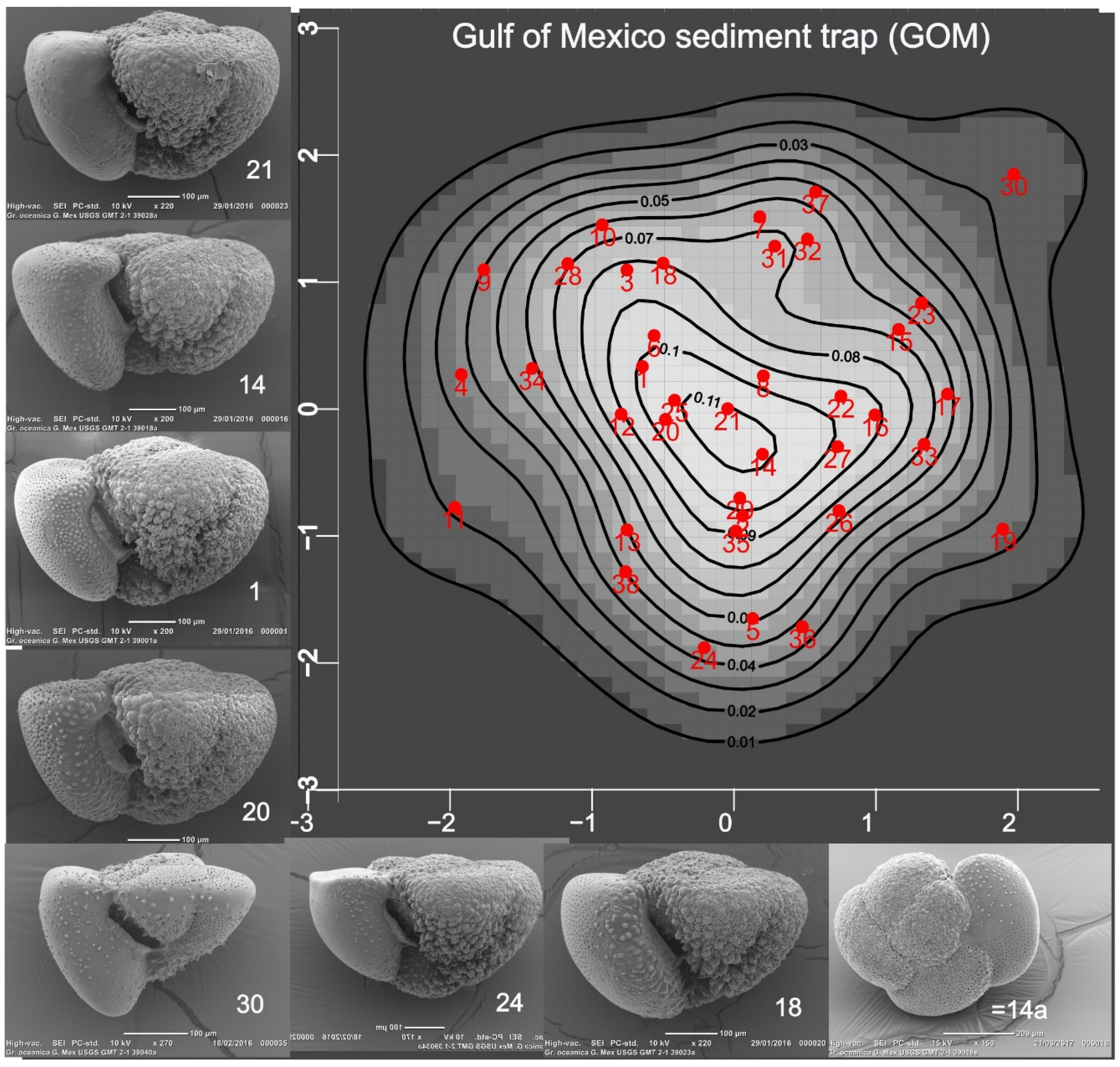 Preprints 149851 g002
