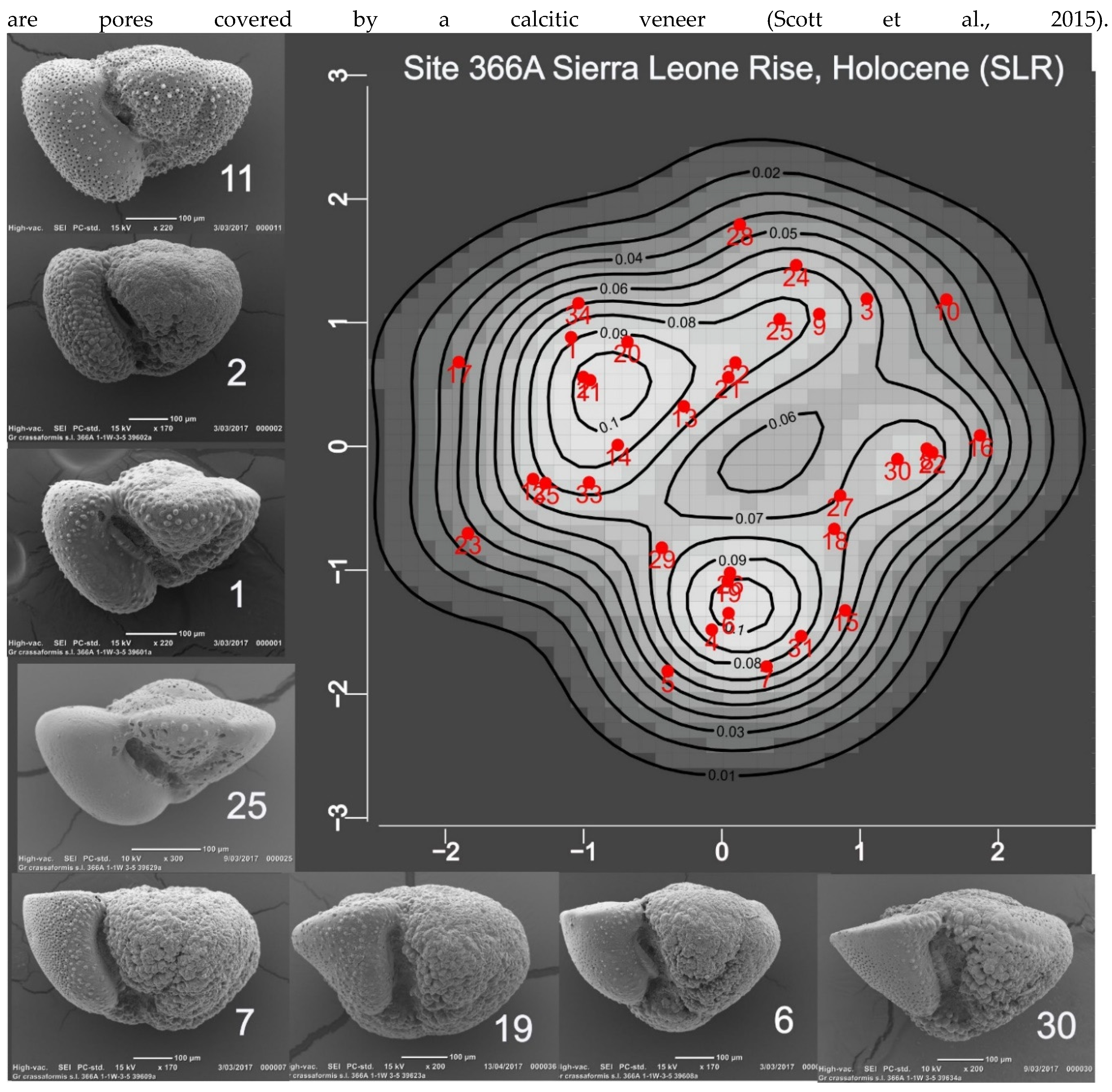 Preprints 149851 g004