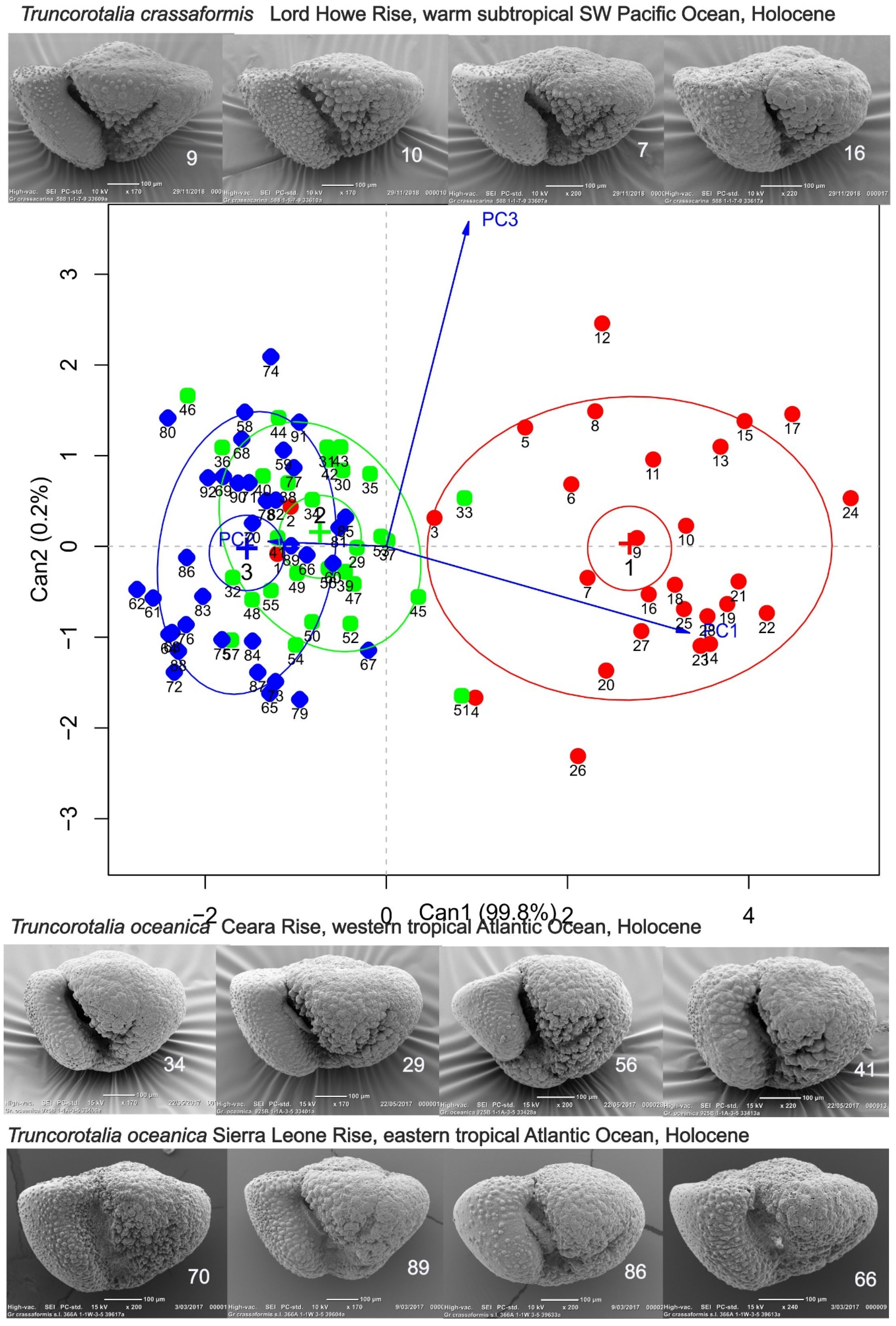 Preprints 149851 g008
