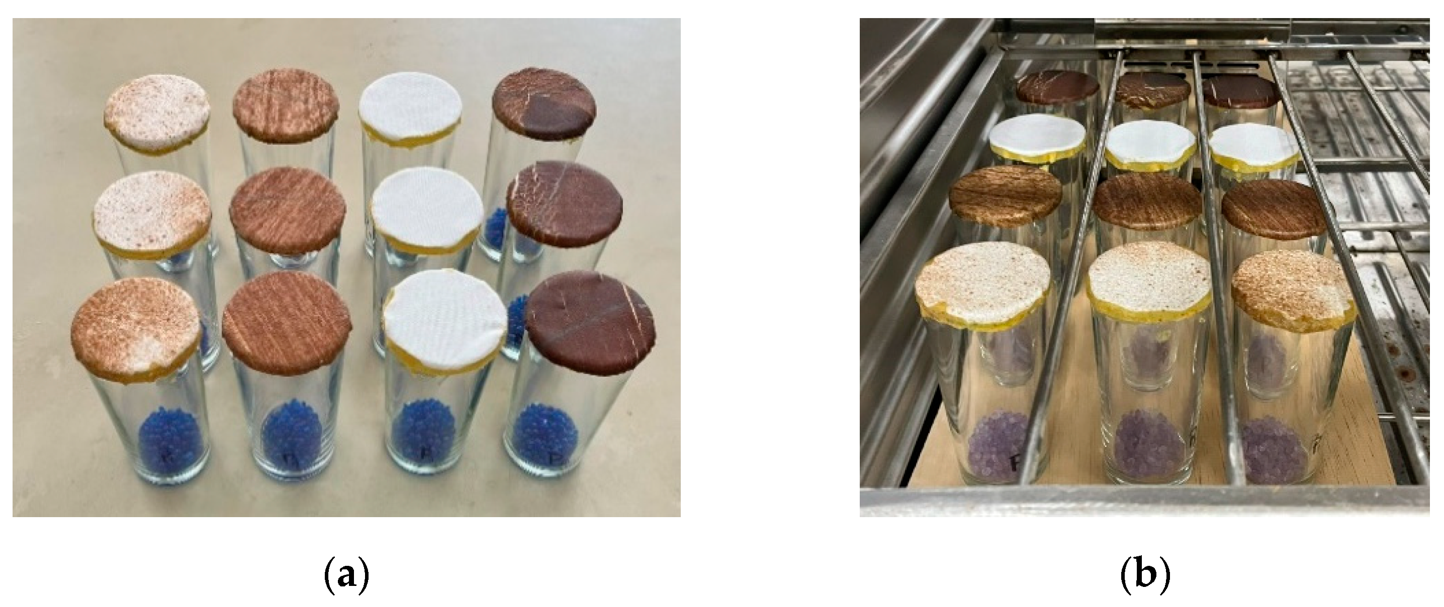 Preprints 144646 g008