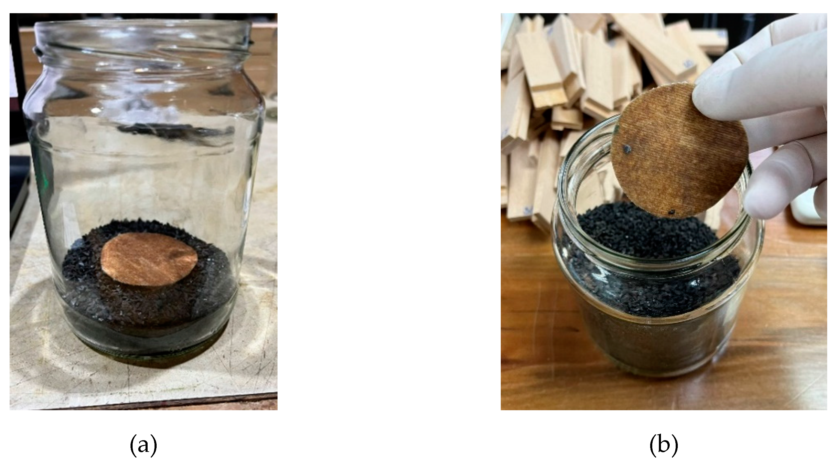 Preprints 144646 g010