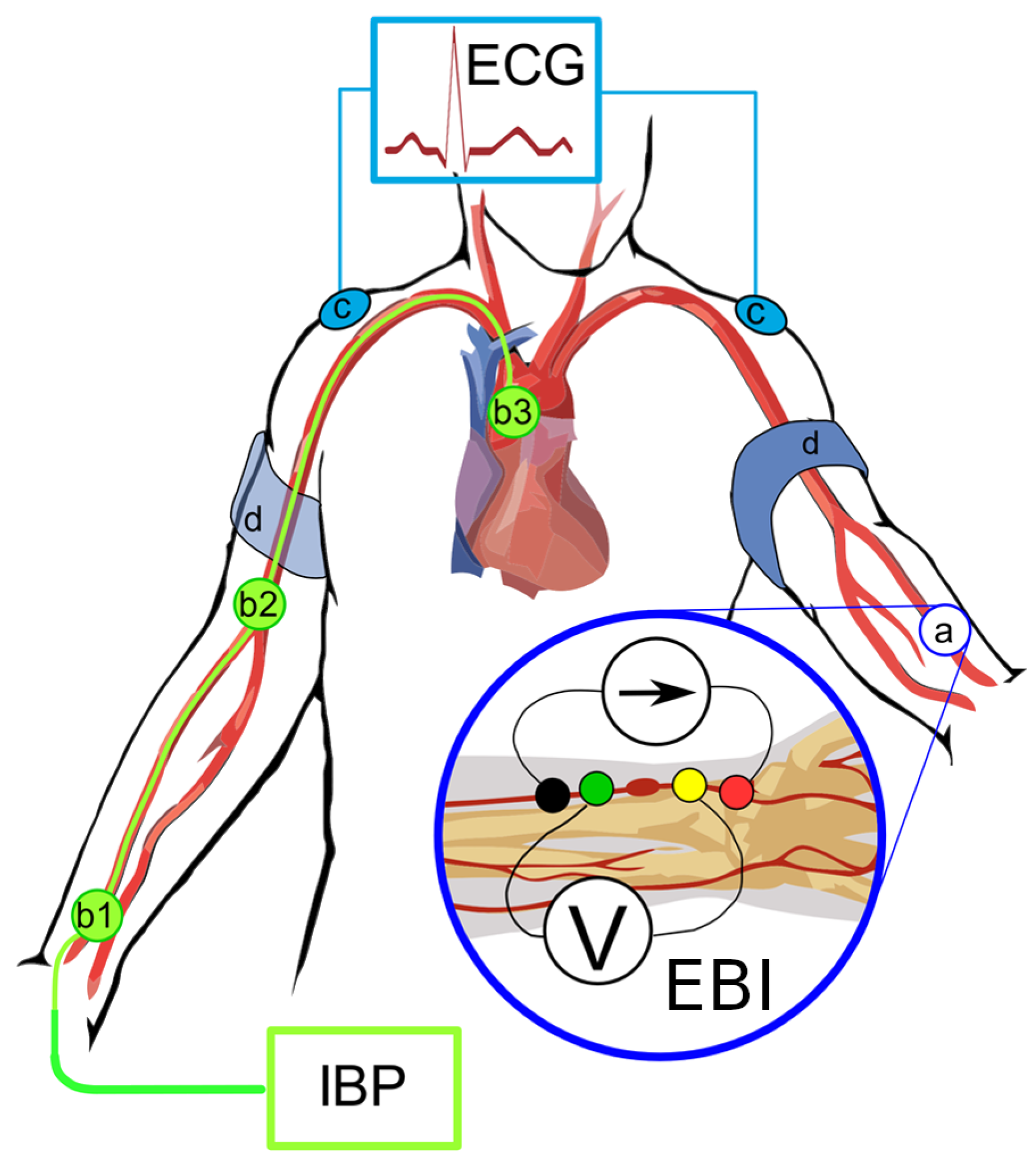 Preprints 156198 g001