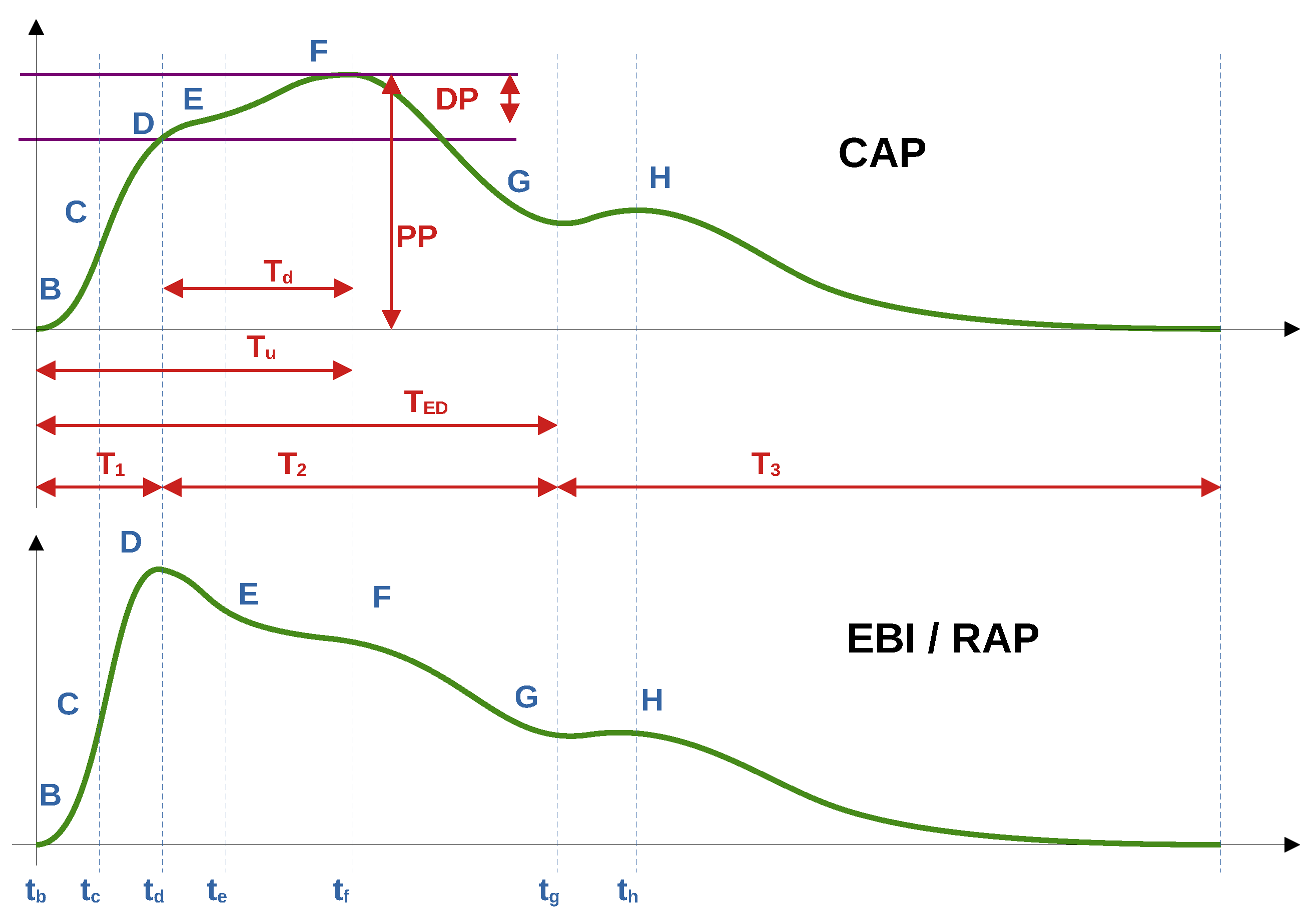 Preprints 156198 g002