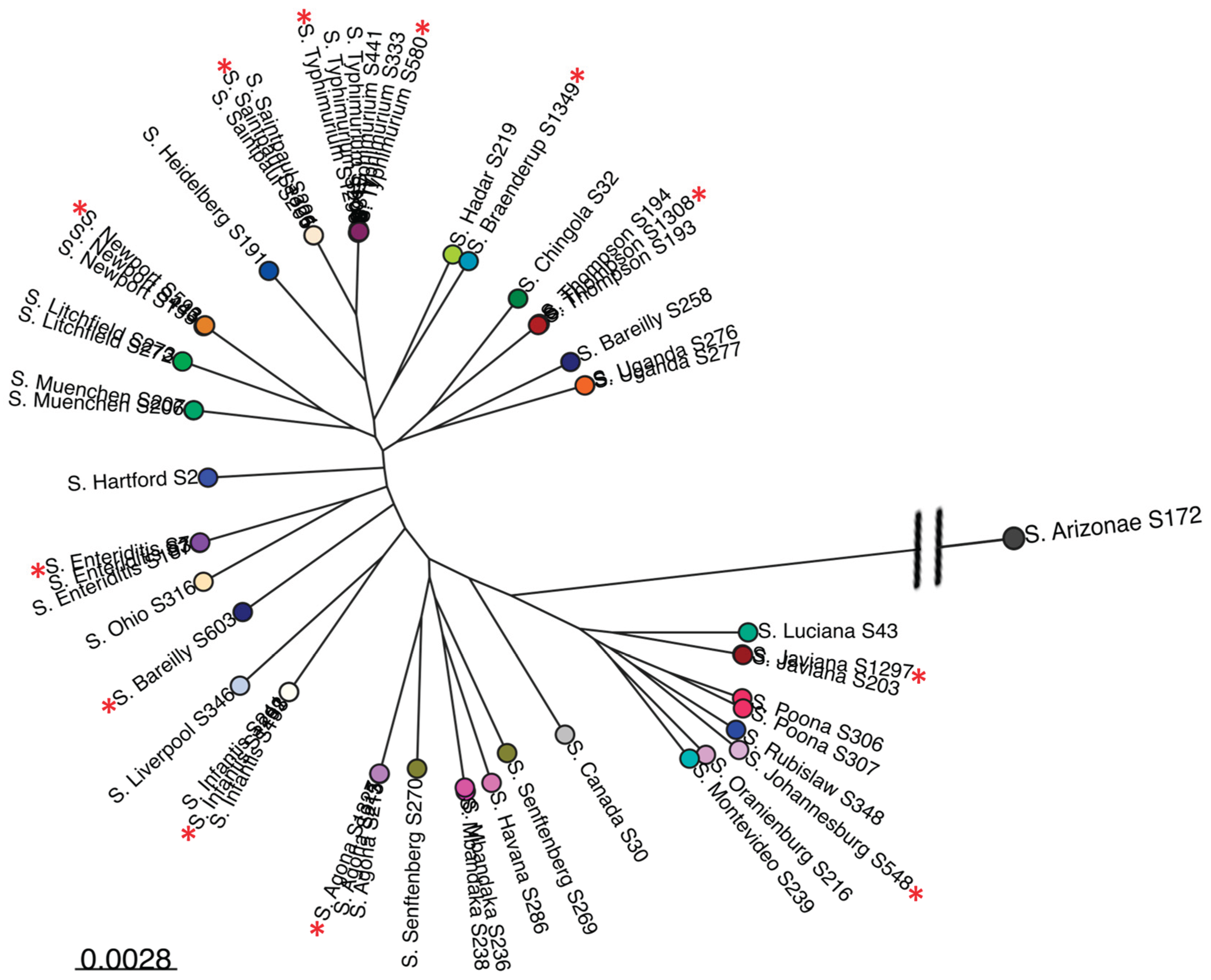 Preprints 100878 g001