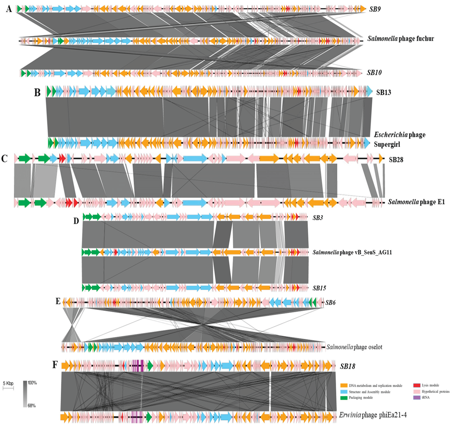 Preprints 100878 g004