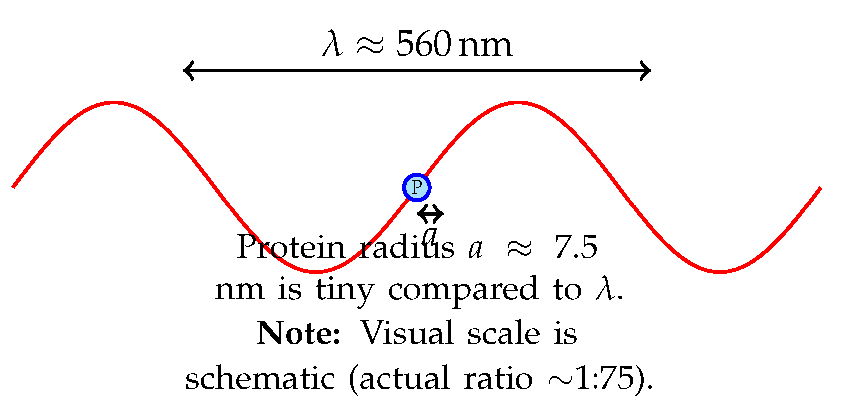 Preprints 197211 g001