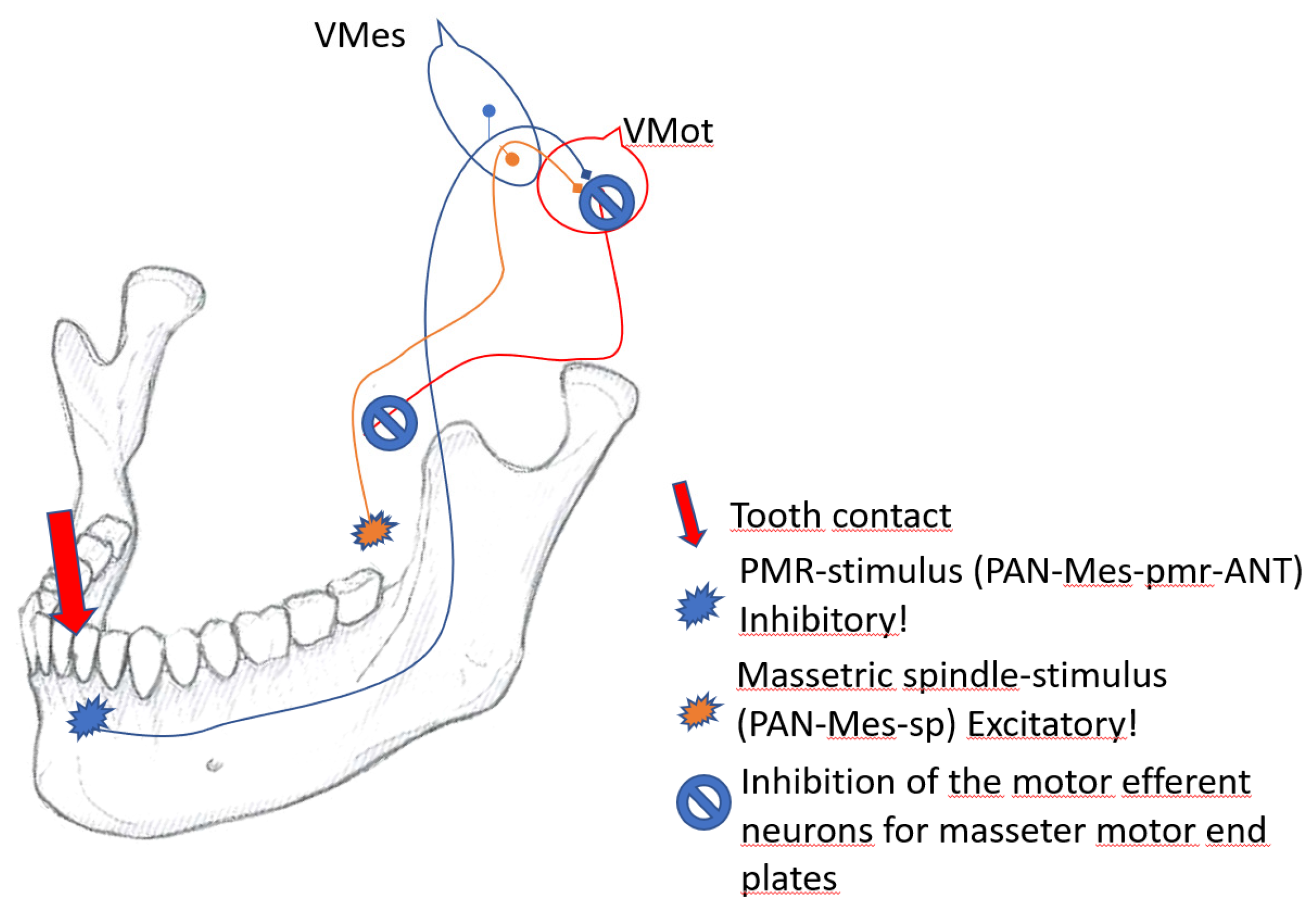 Preprints 72916 g005