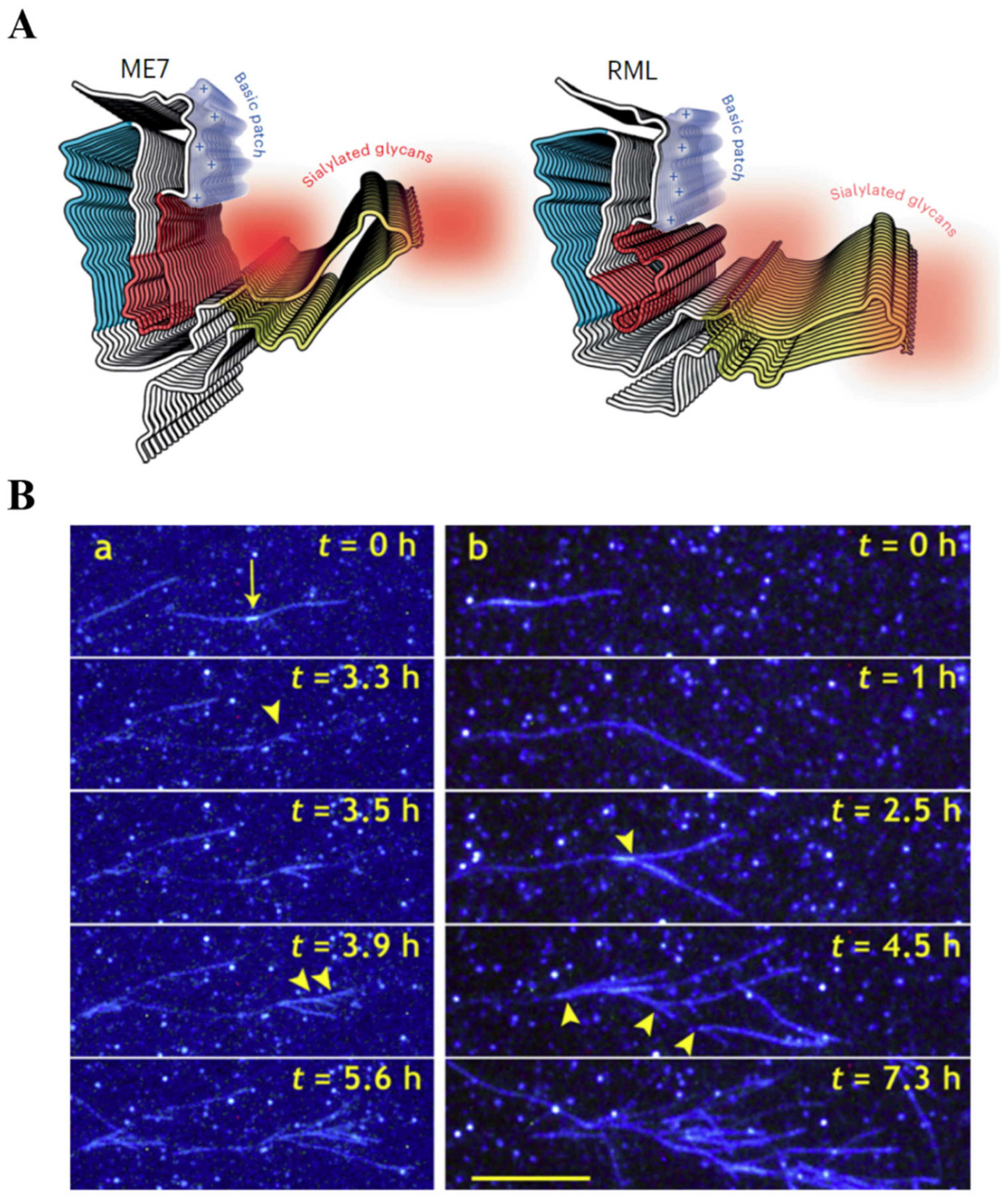 Preprints 169141 g001