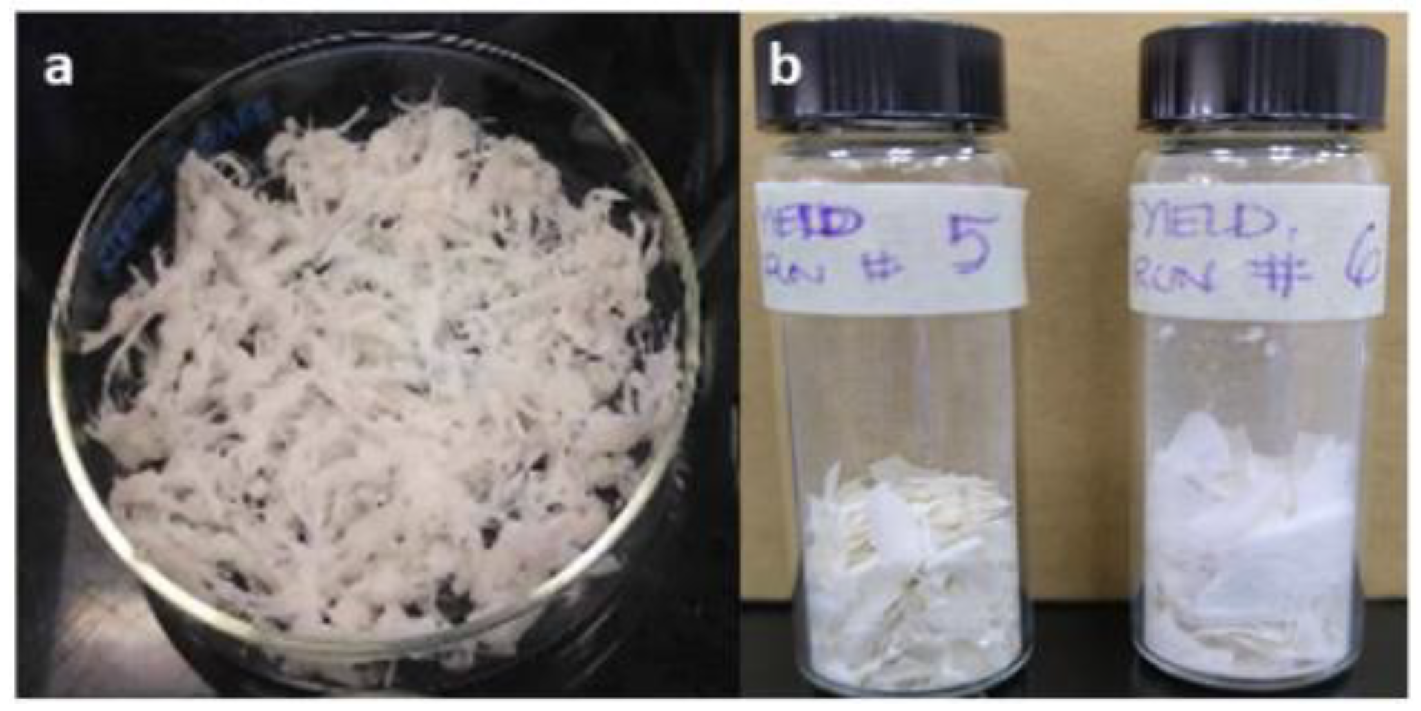 Preprints 165488 g005