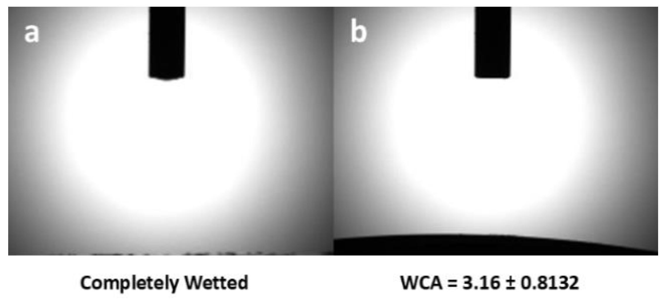 Preprints 165488 g011