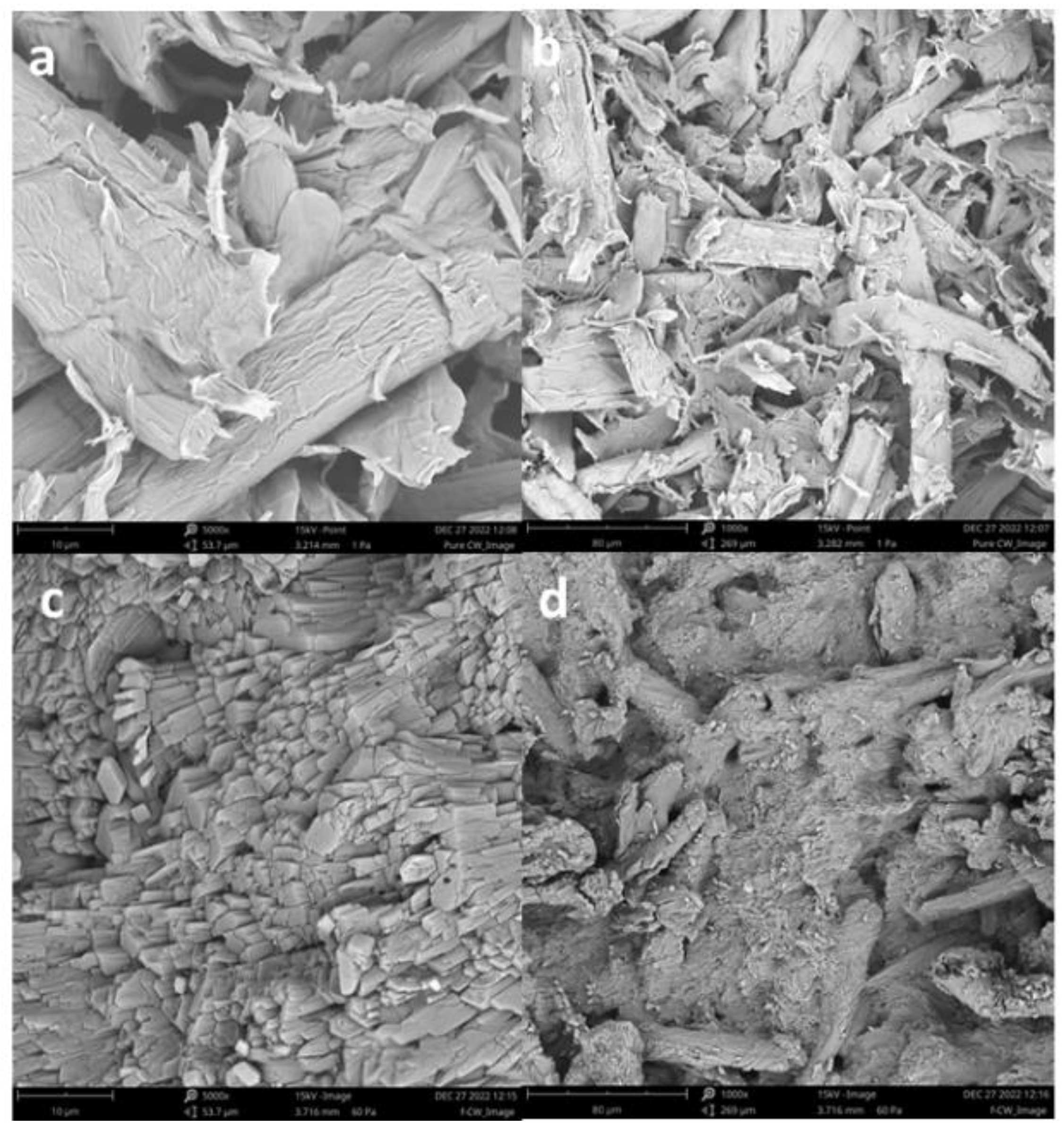 Preprints 165488 g012