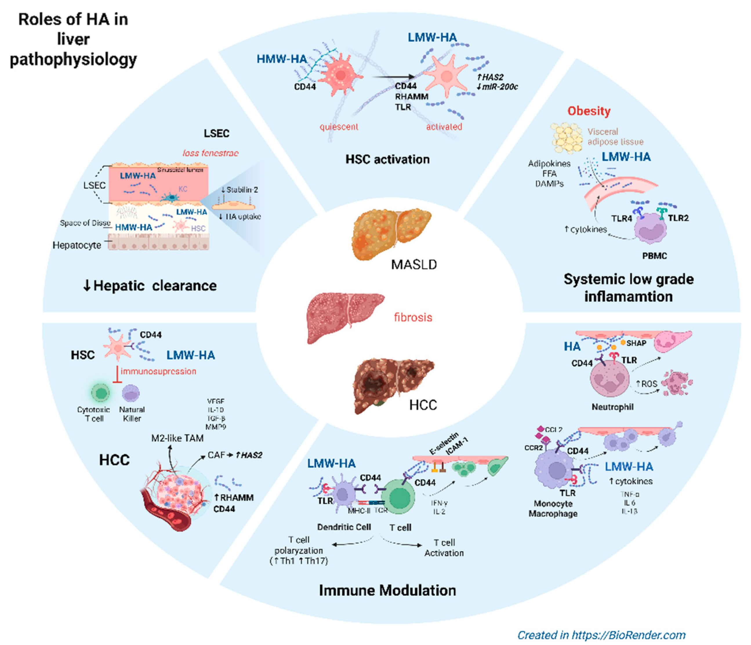 Preprints 168445 g001