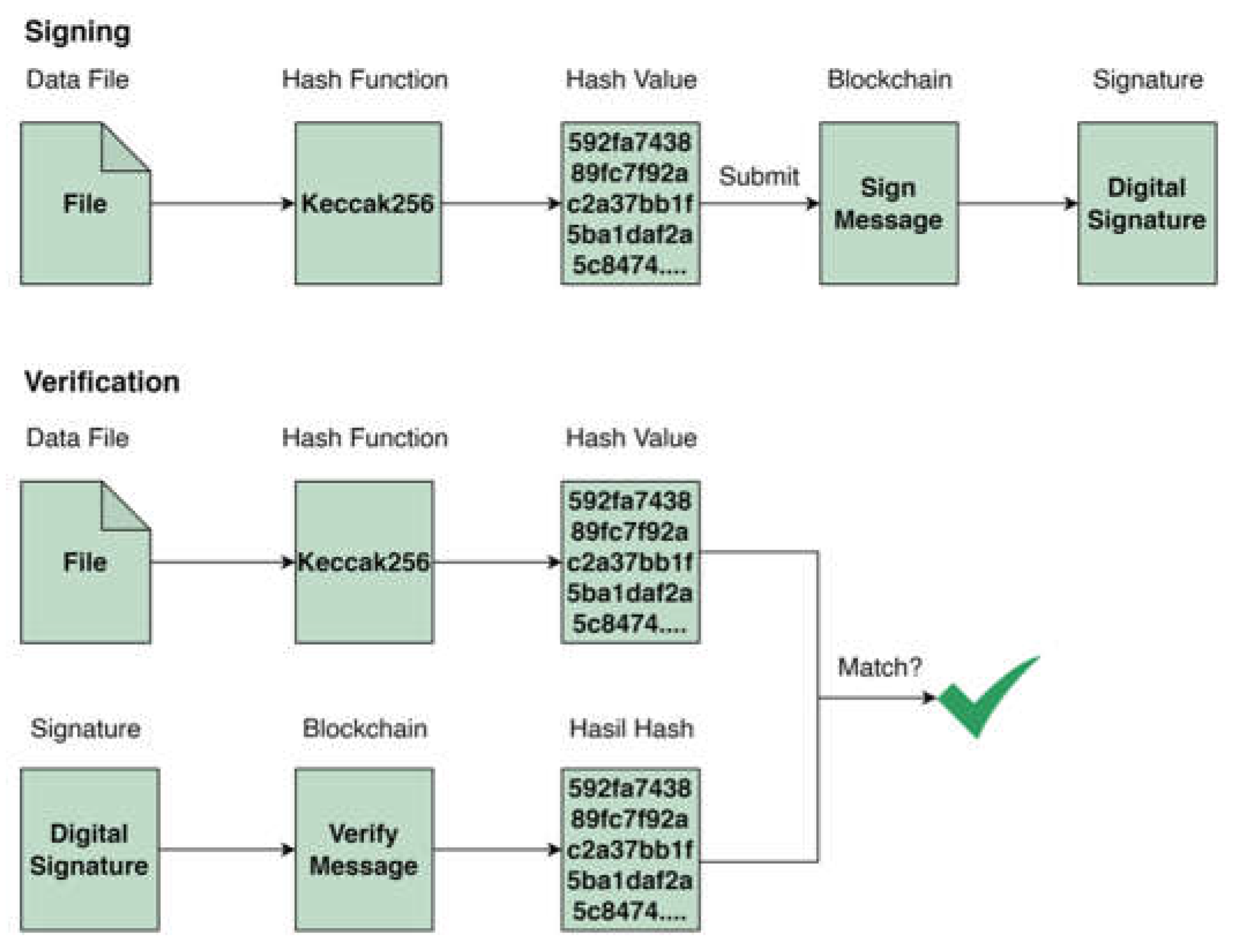Preprints 108120 g005