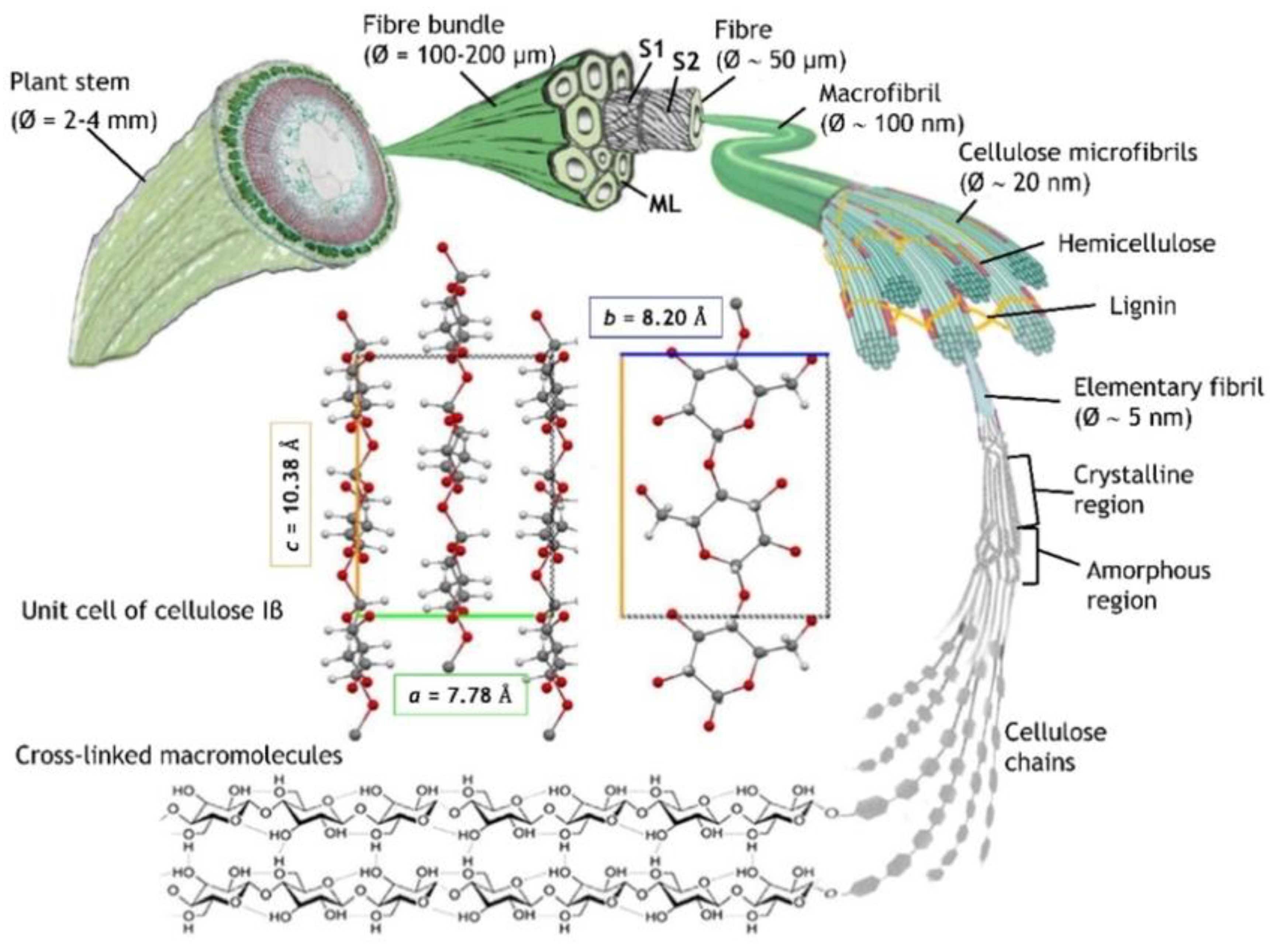 Development of Cellulose Nanofiber Based Nanopapers as Sustainable ...