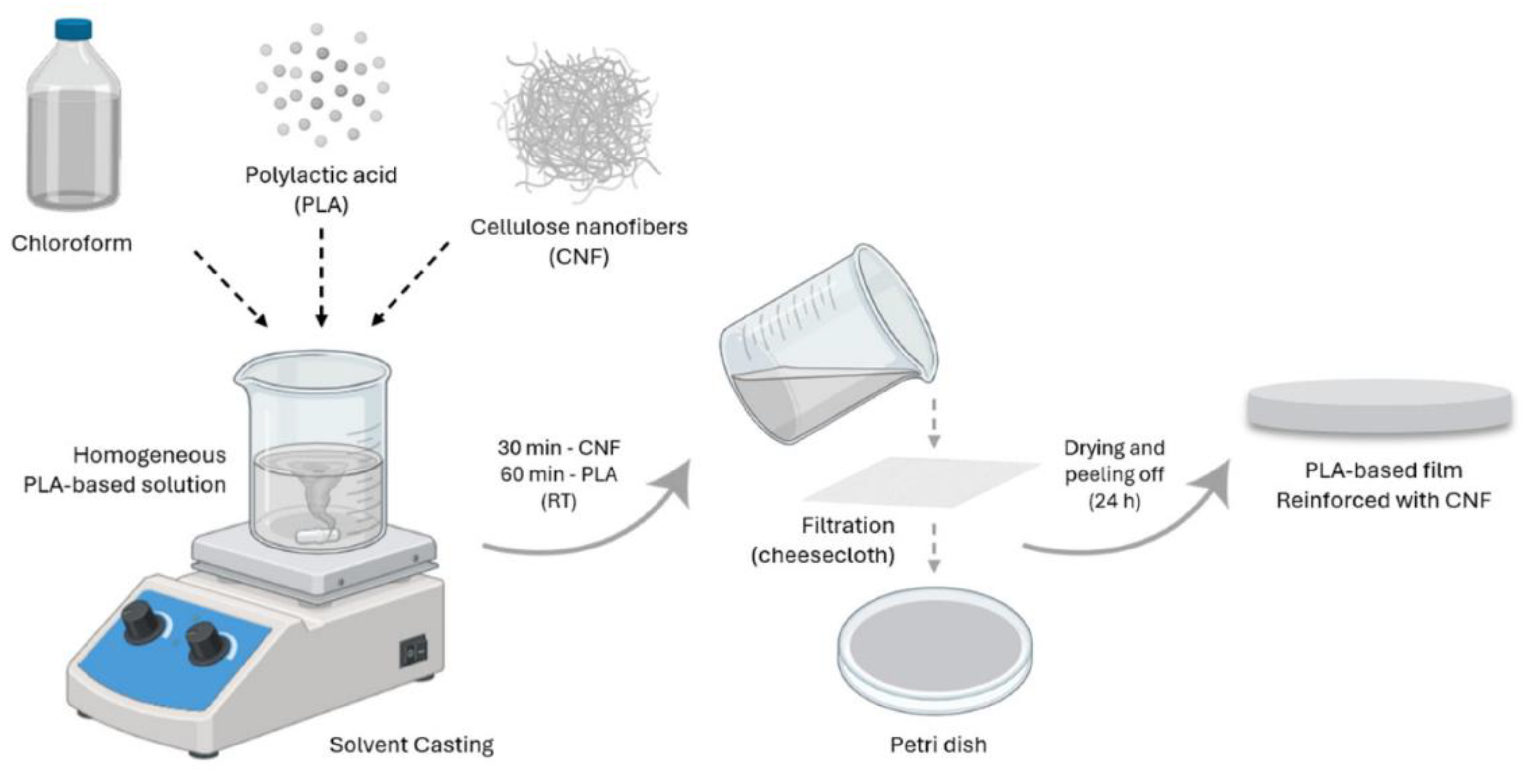 Development of Cellulose Nanofiber Based Nanopapers as Sustainable ...