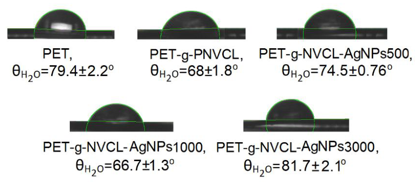 Preprints 226437 g003 Preprints 226437 g003