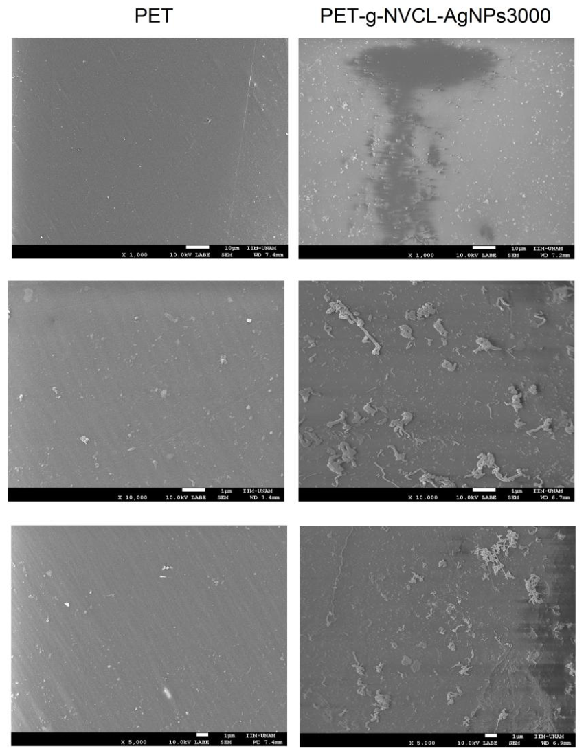 Preprints 226437 g011 Preprints 226437 g011