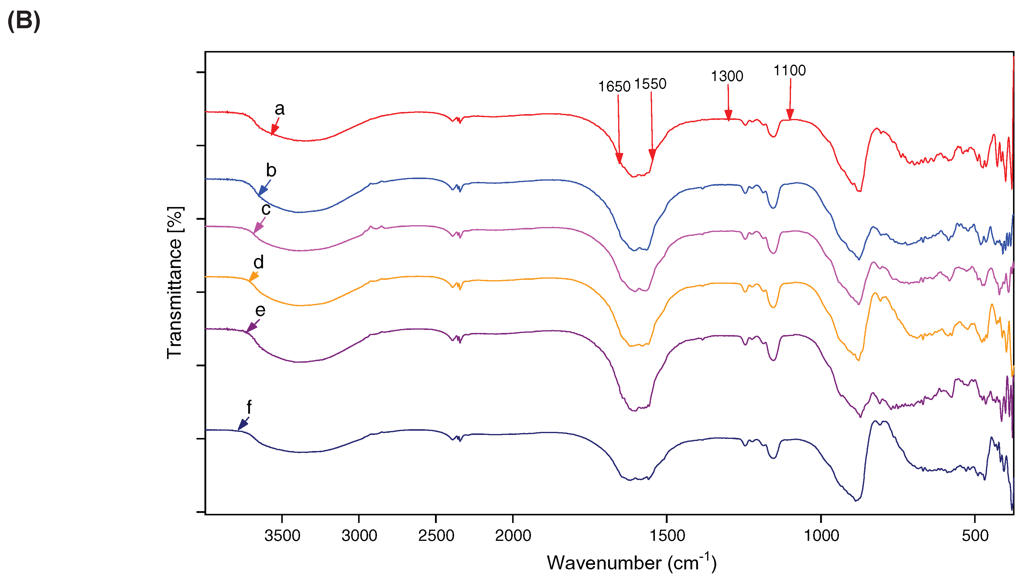 Preprints 235581 g002b