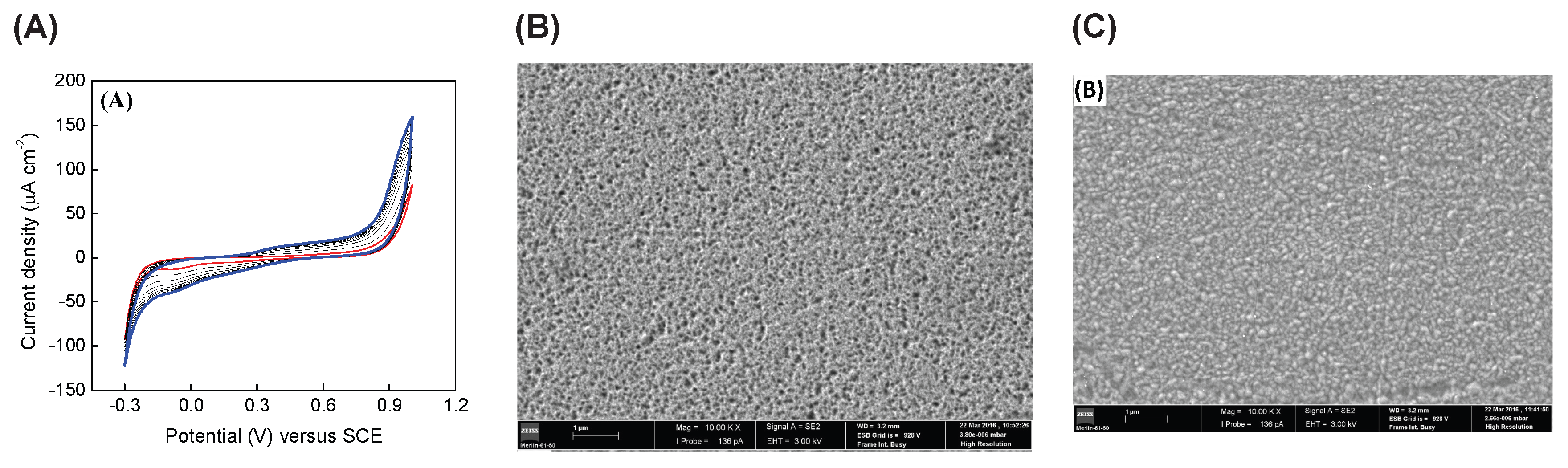 Preprints 235581 g003