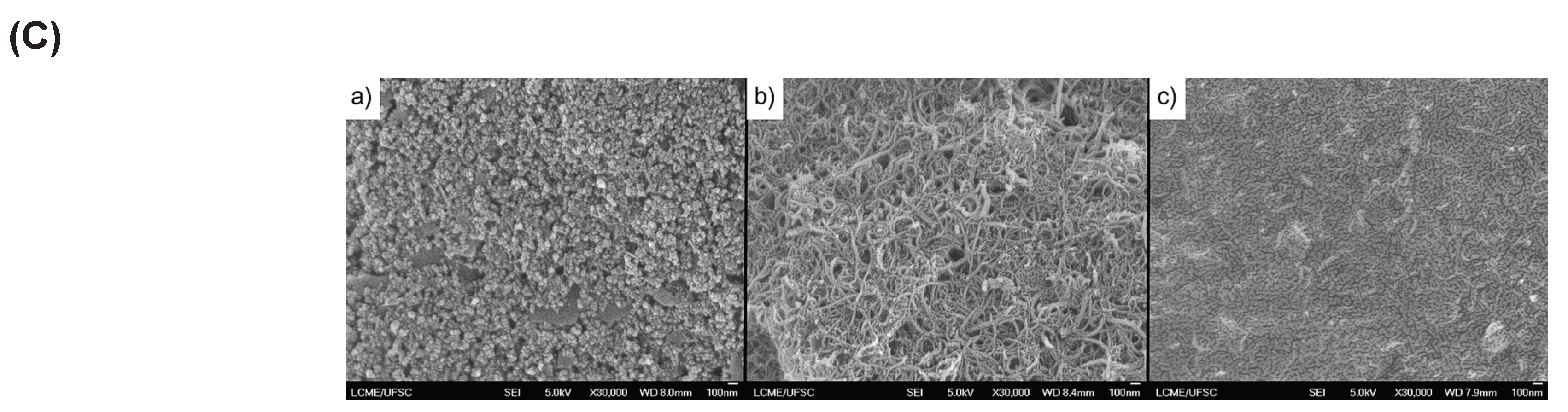 Preprints 235581 g004c