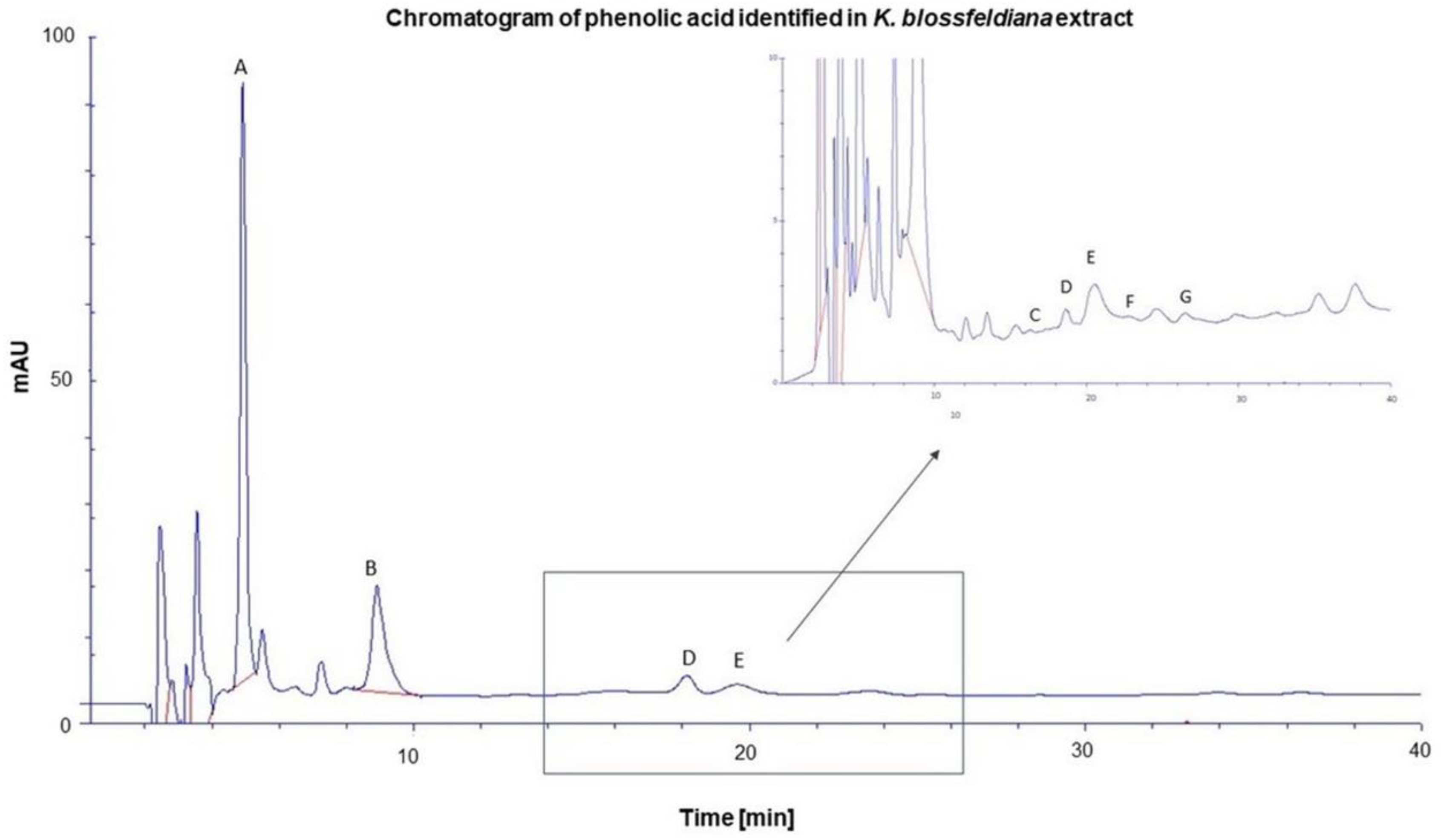 Preprints 119040 g001