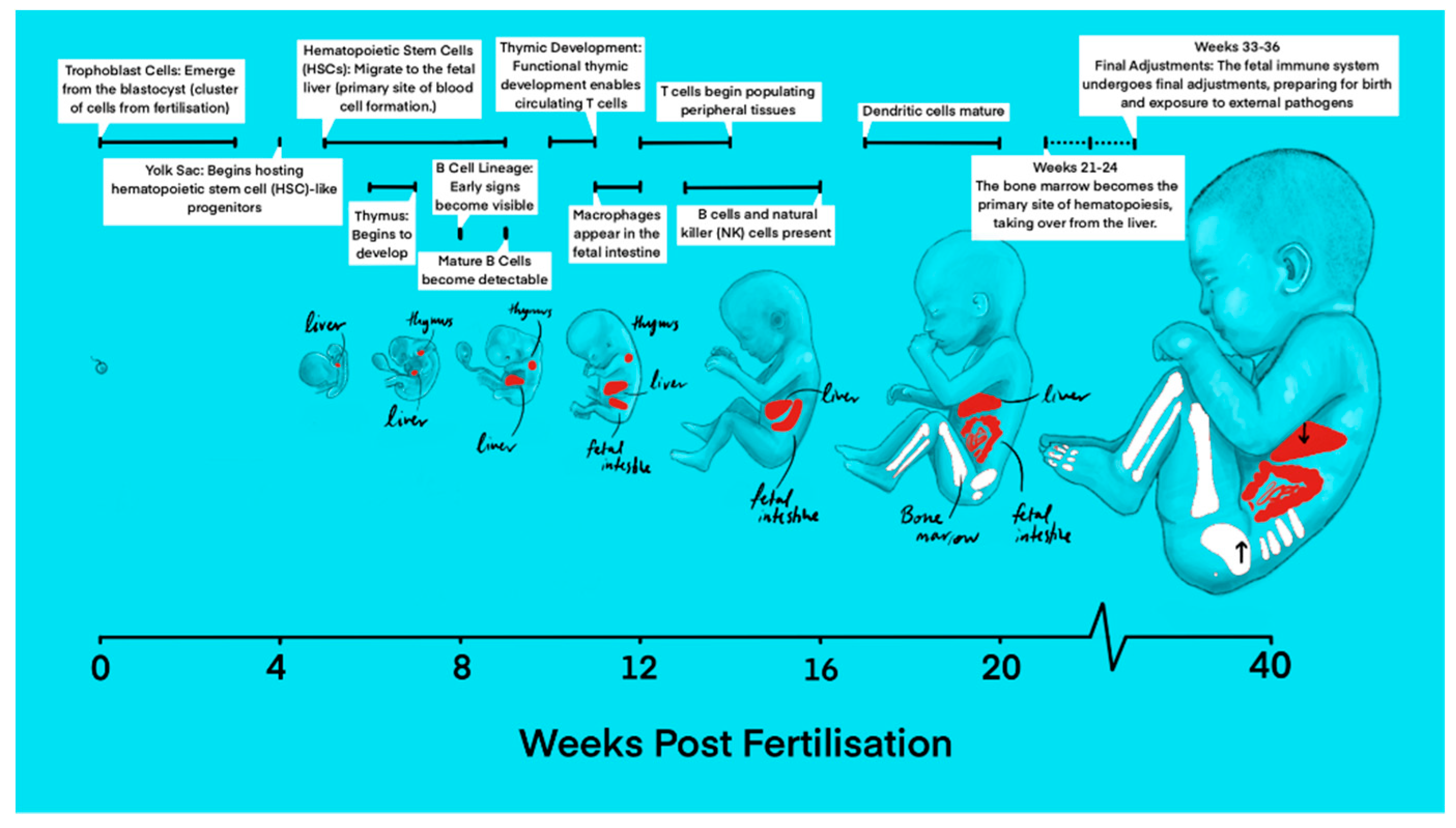 Preprints 148183 g001