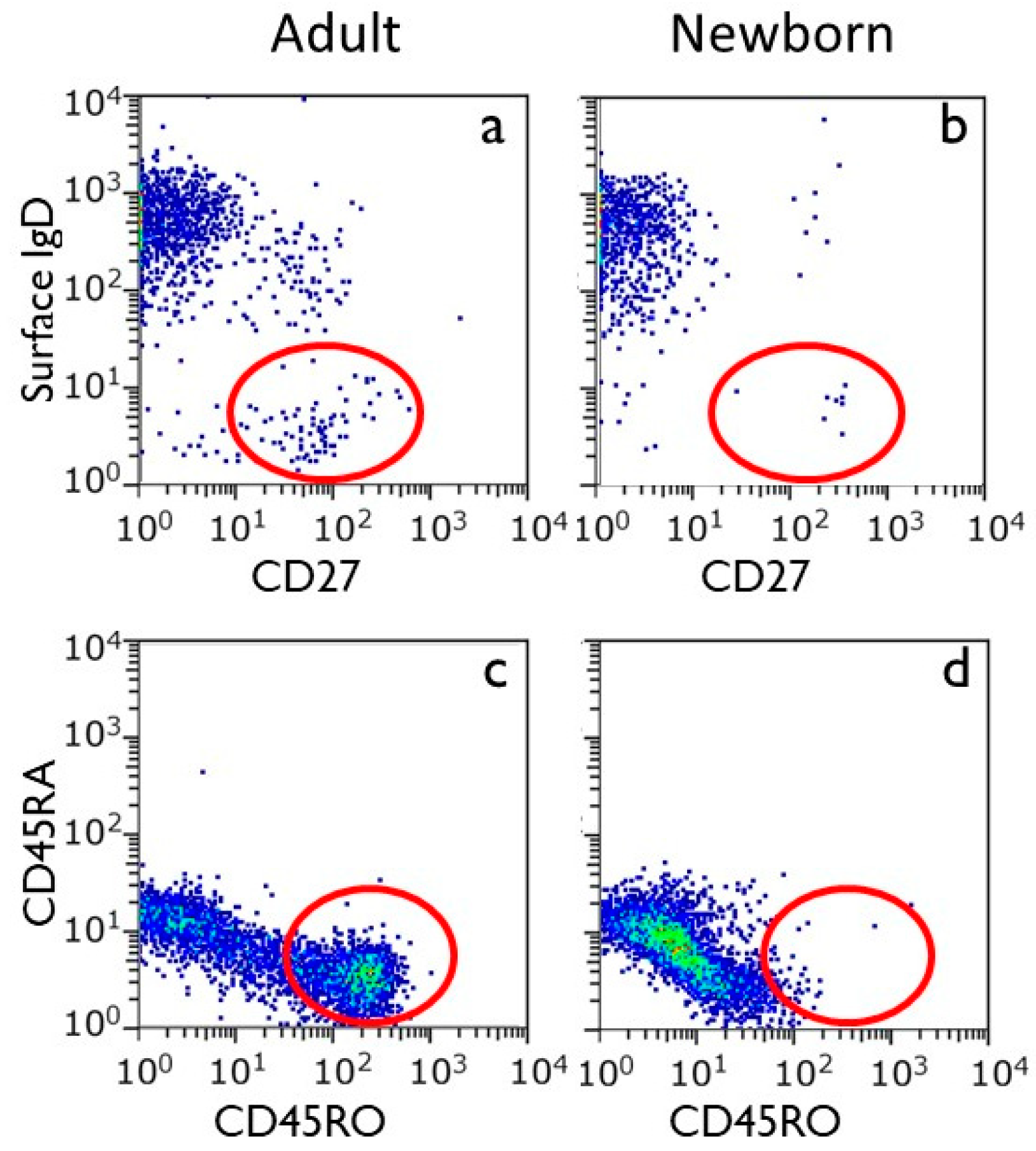 Preprints 148183 g002