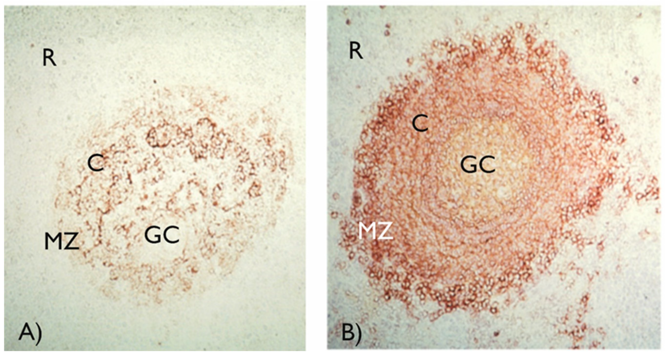 Preprints 148183 g003