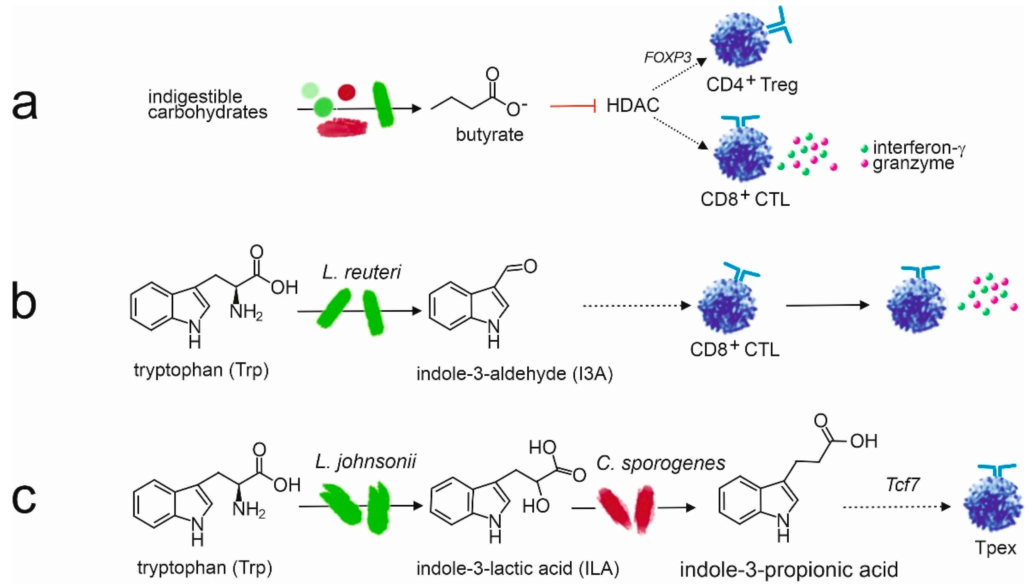 Preprints 148183 g005