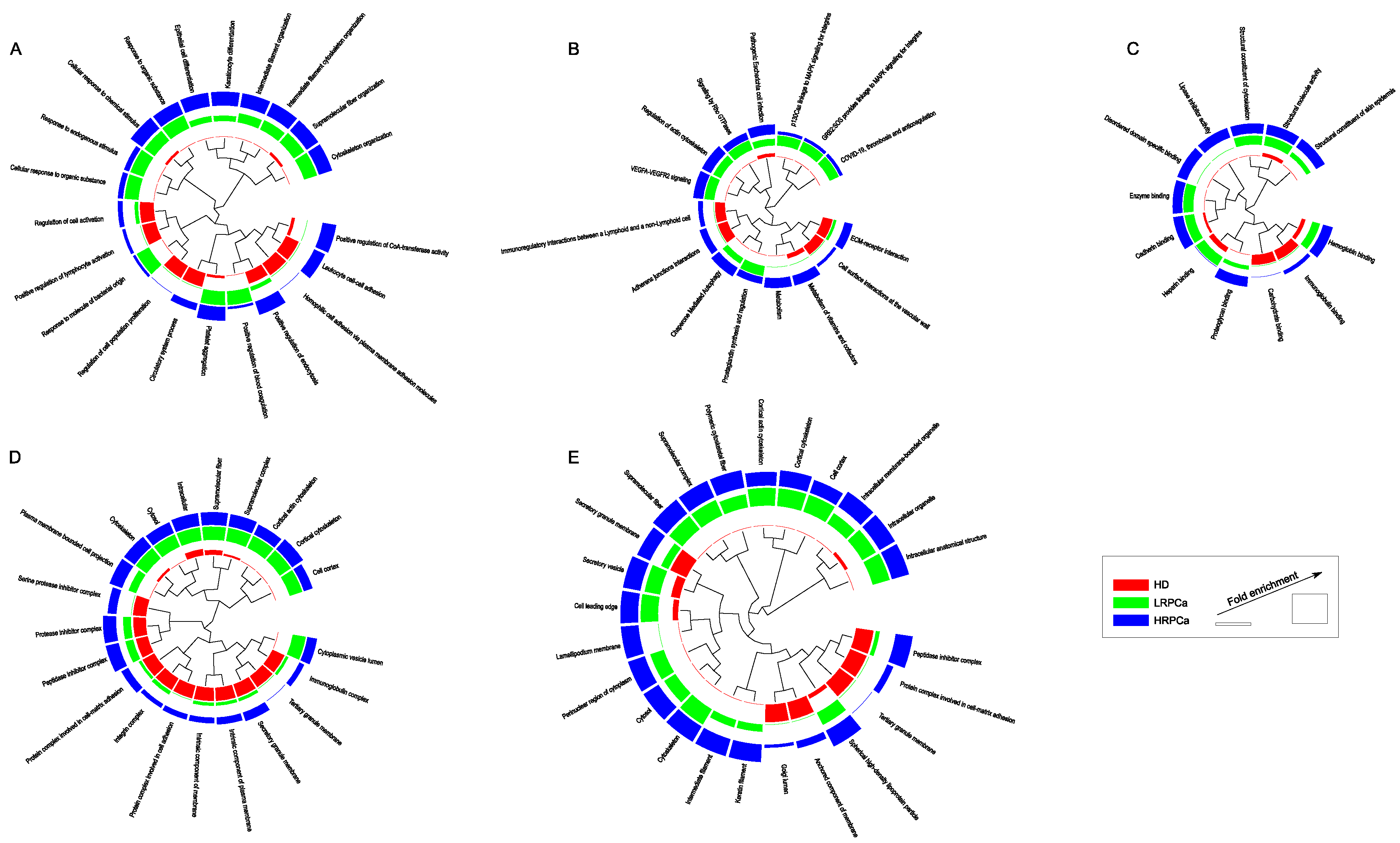 Preprints 145718 g002
