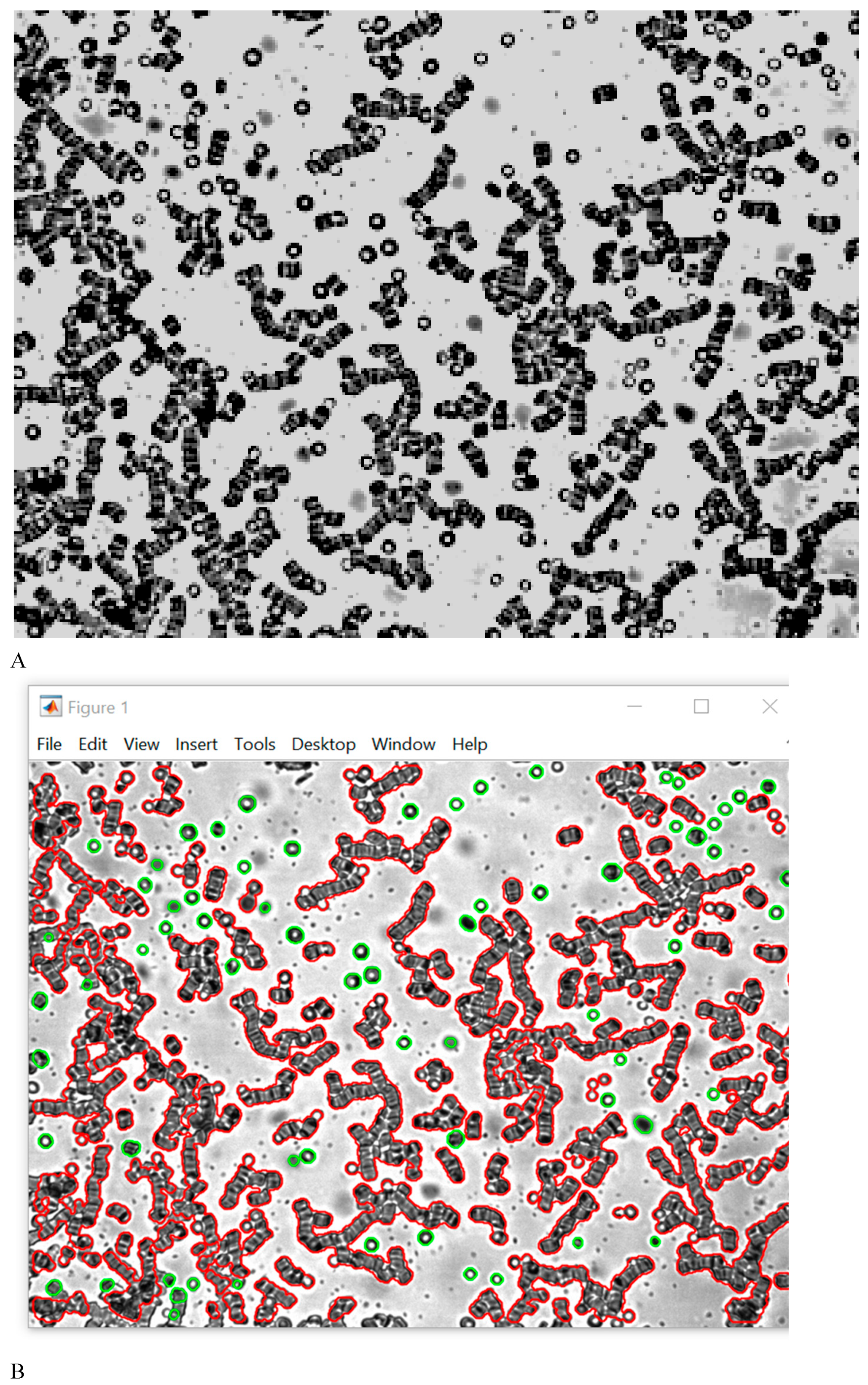 Preprints 180917 g001