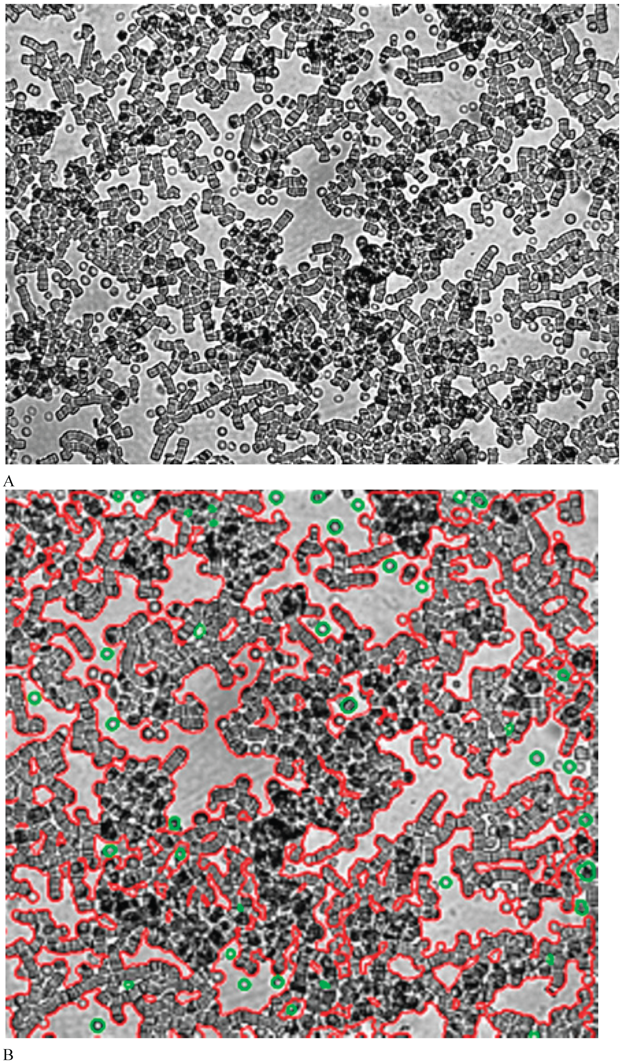 Preprints 180917 g002