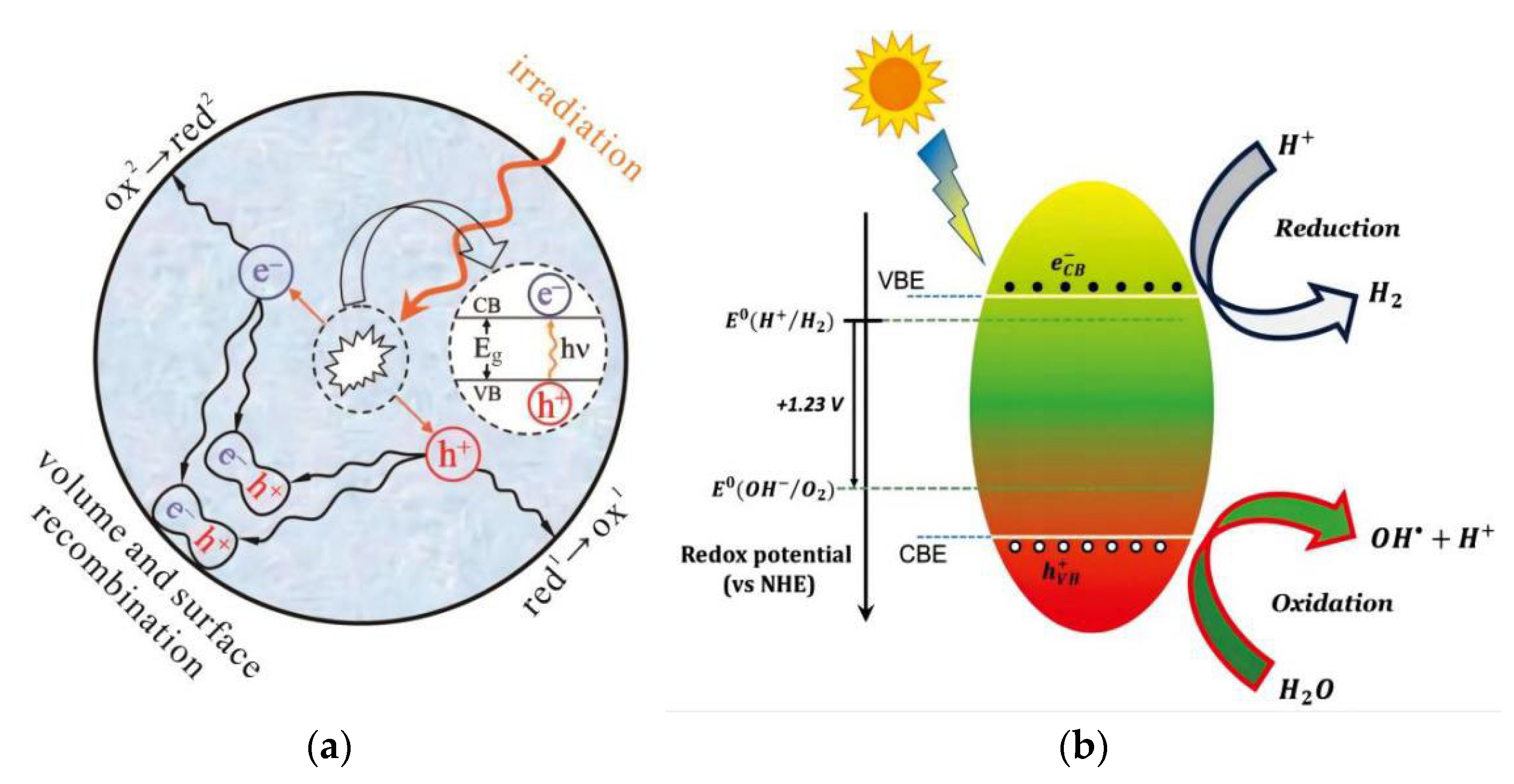 Preprints 74092 g002