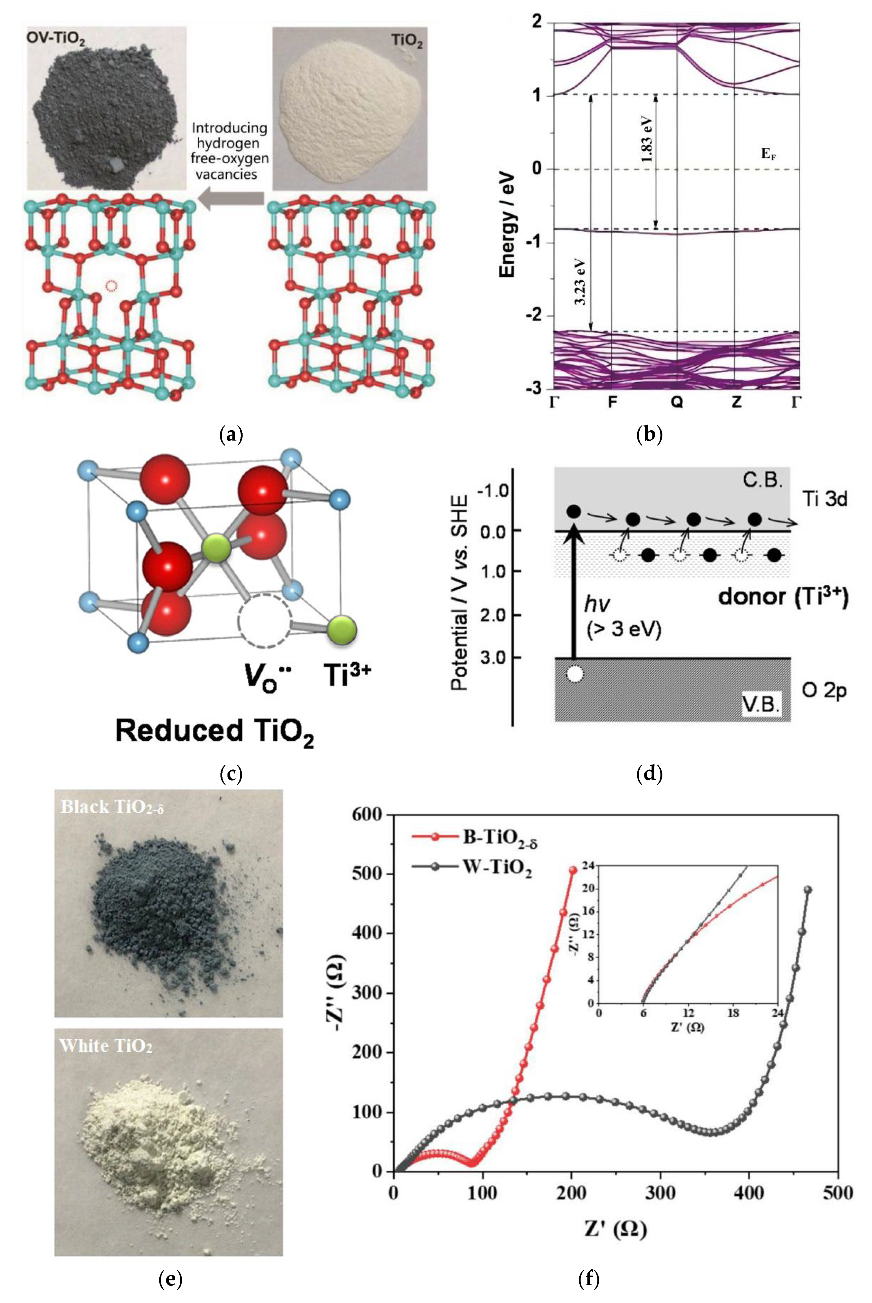 Preprints 74092 g004