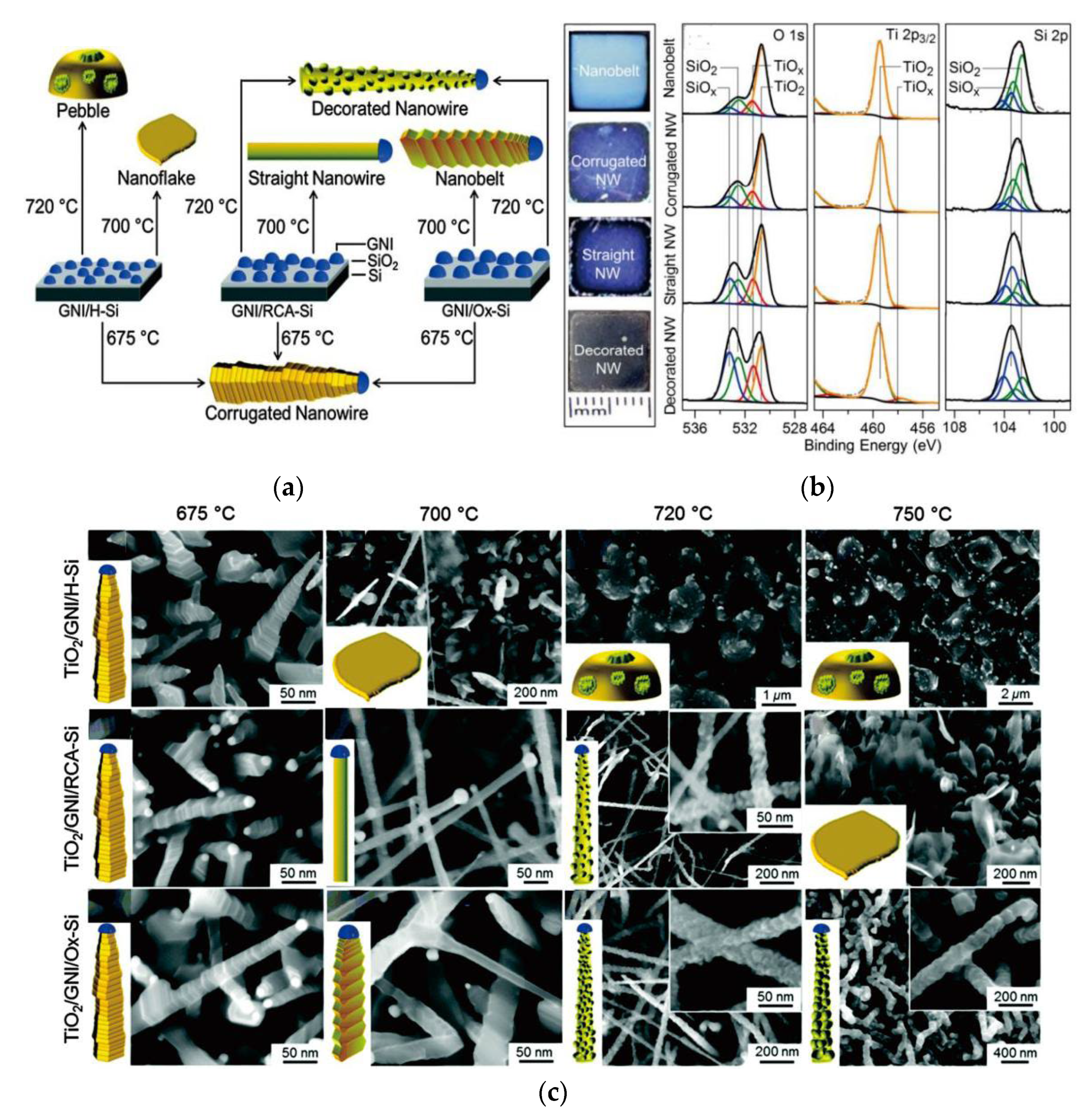 Preprints 74092 g007