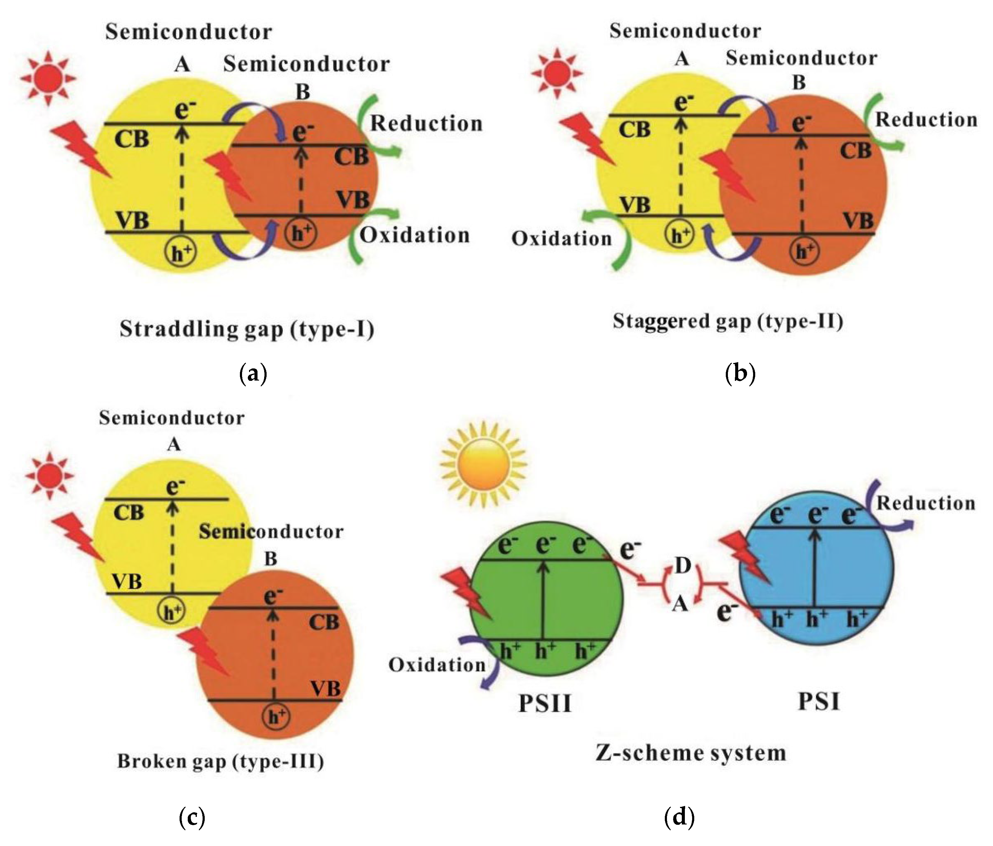 Preprints 74092 g013
